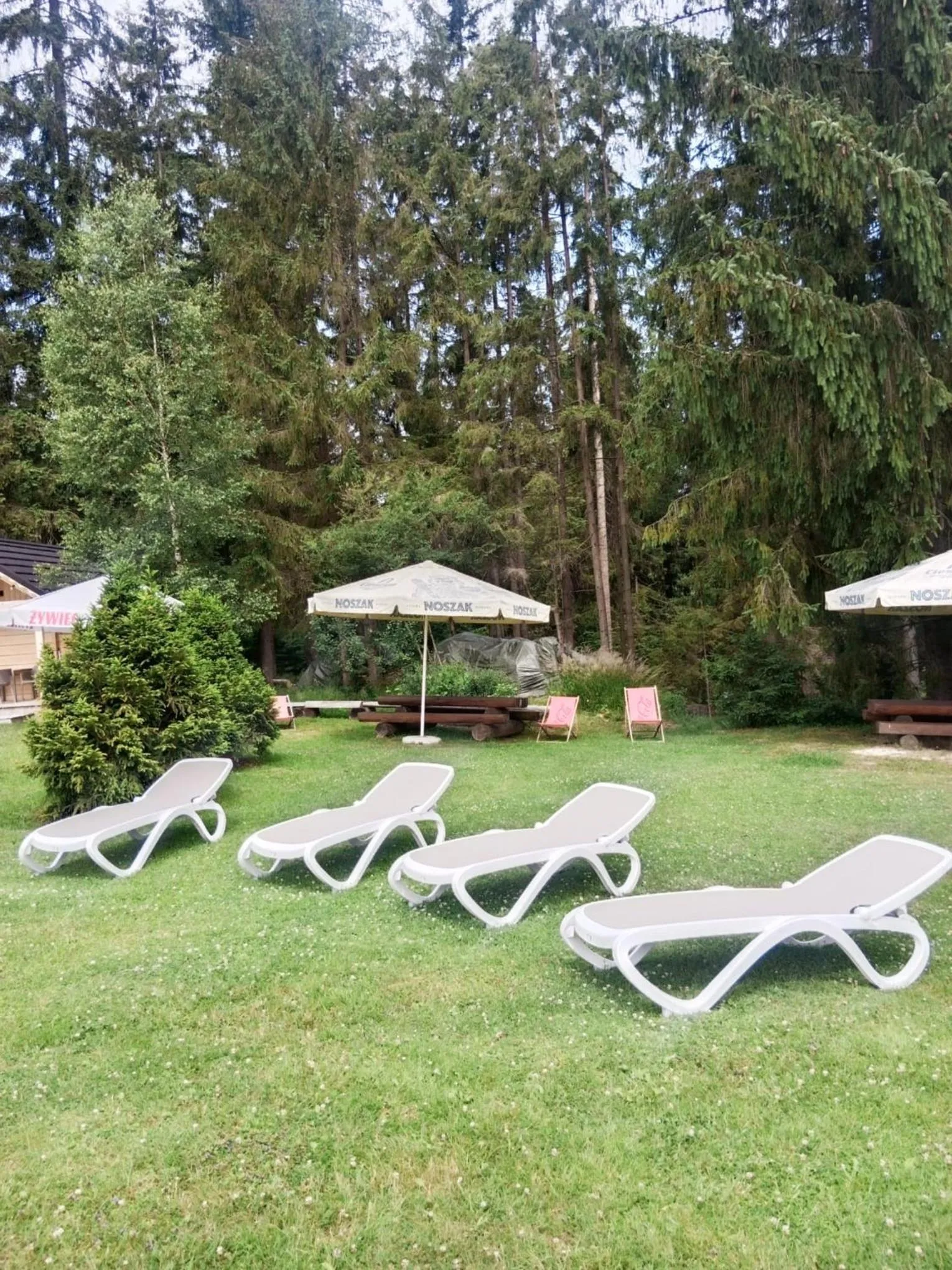 Day in Olza Karczma i pokoje