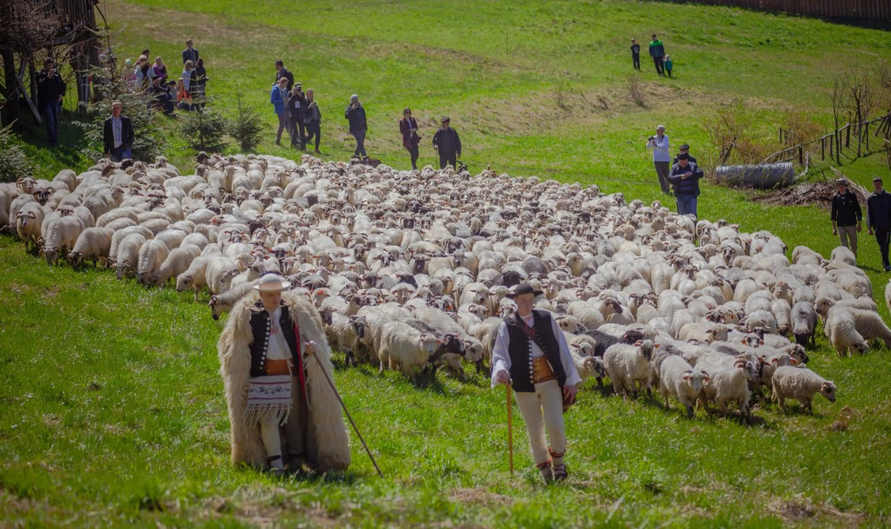 Olza Karczma i pokoje