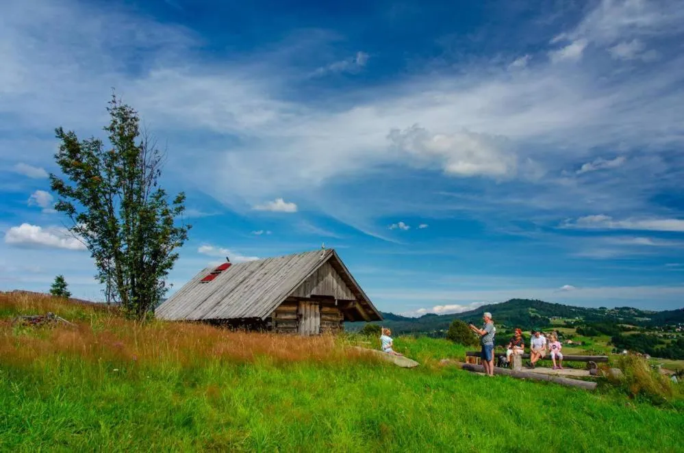 Spring in Olza Karczma i pokoje