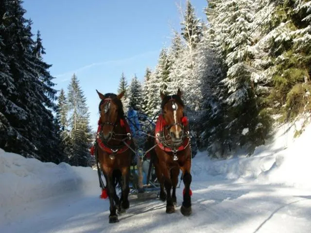 Day in Olza Karczma i pokoje
