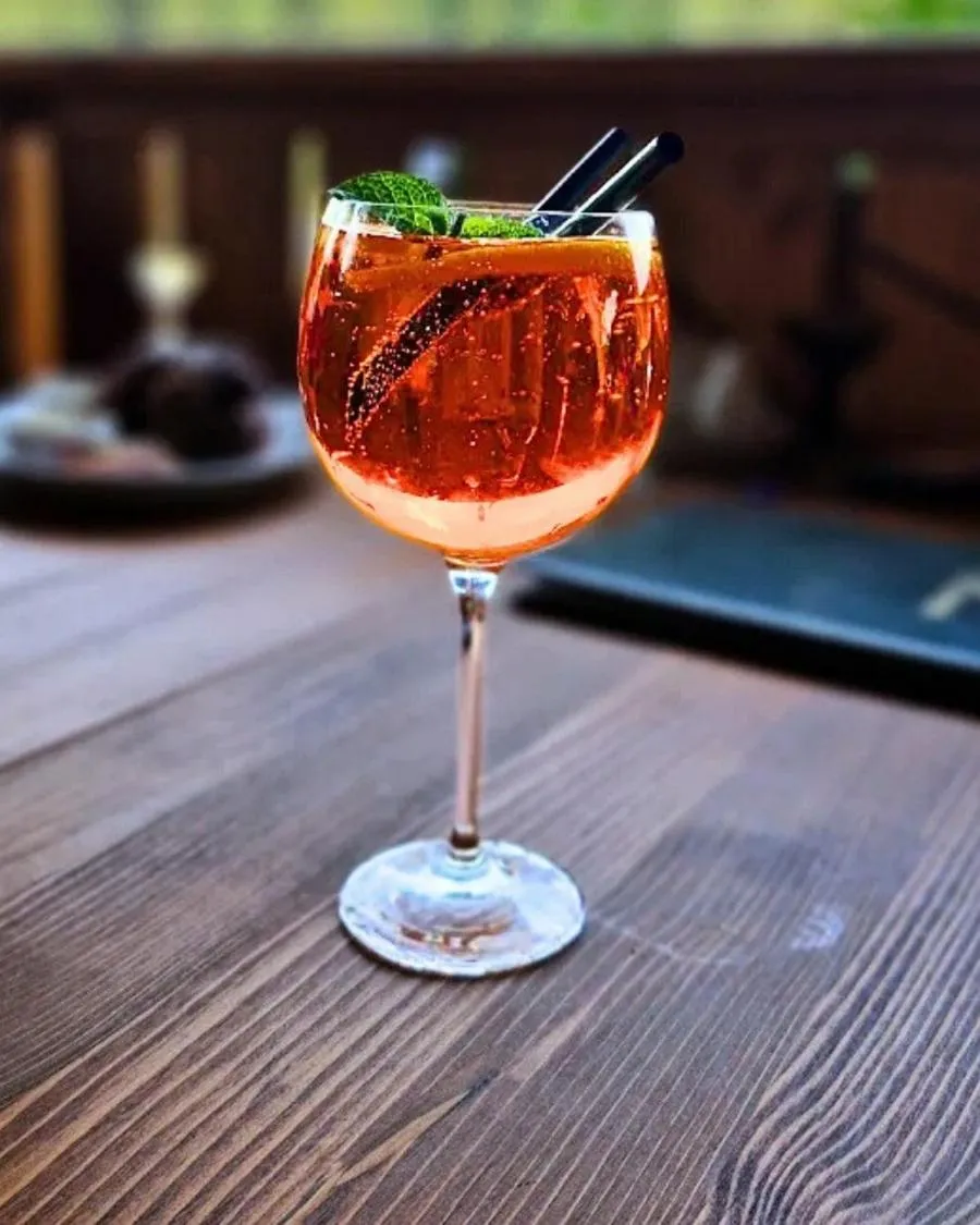 Drinks in Olza Karczma i pokoje