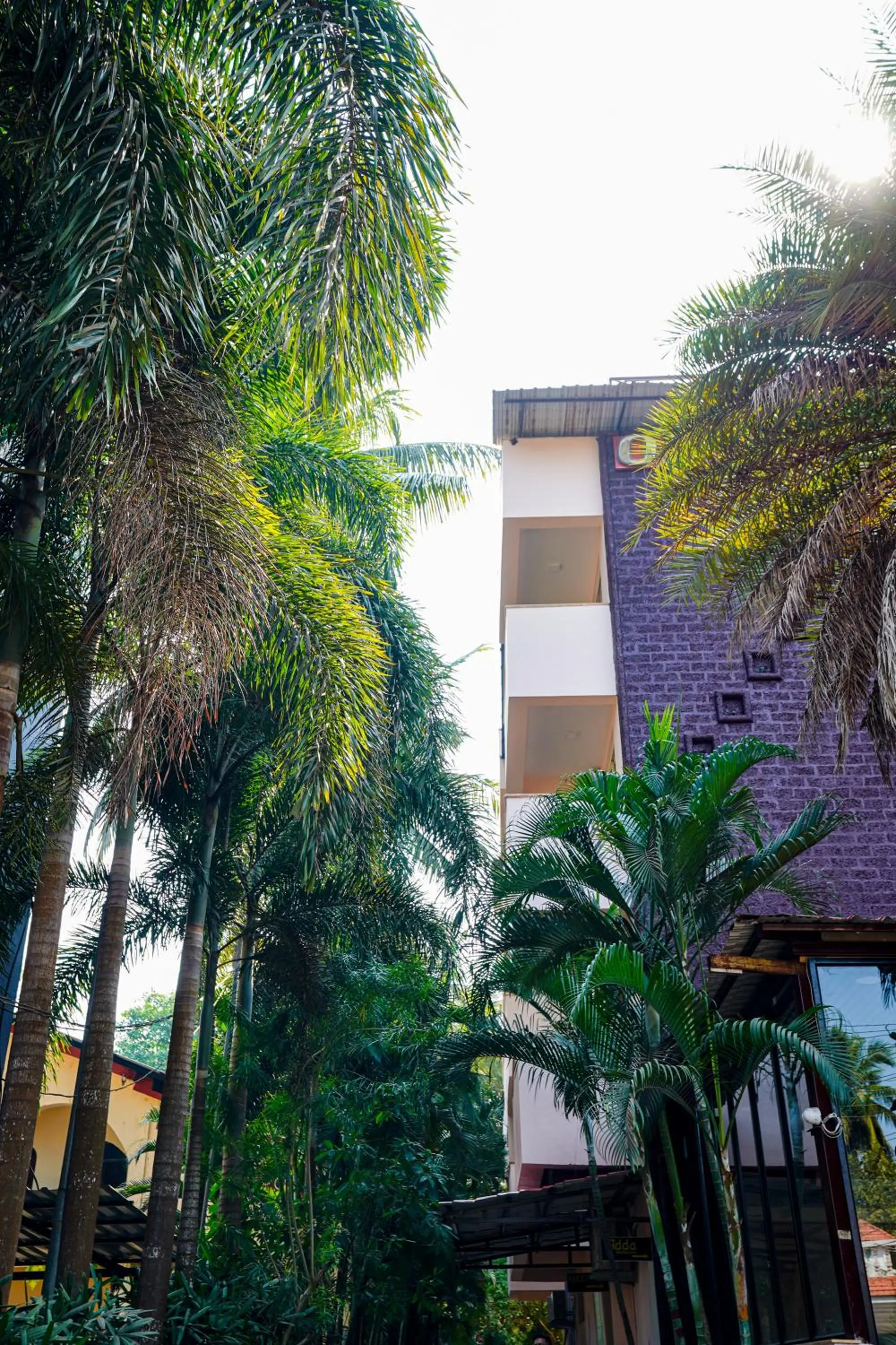 Property building in Hotel Meraden Opus , Anjuna Beach Goa