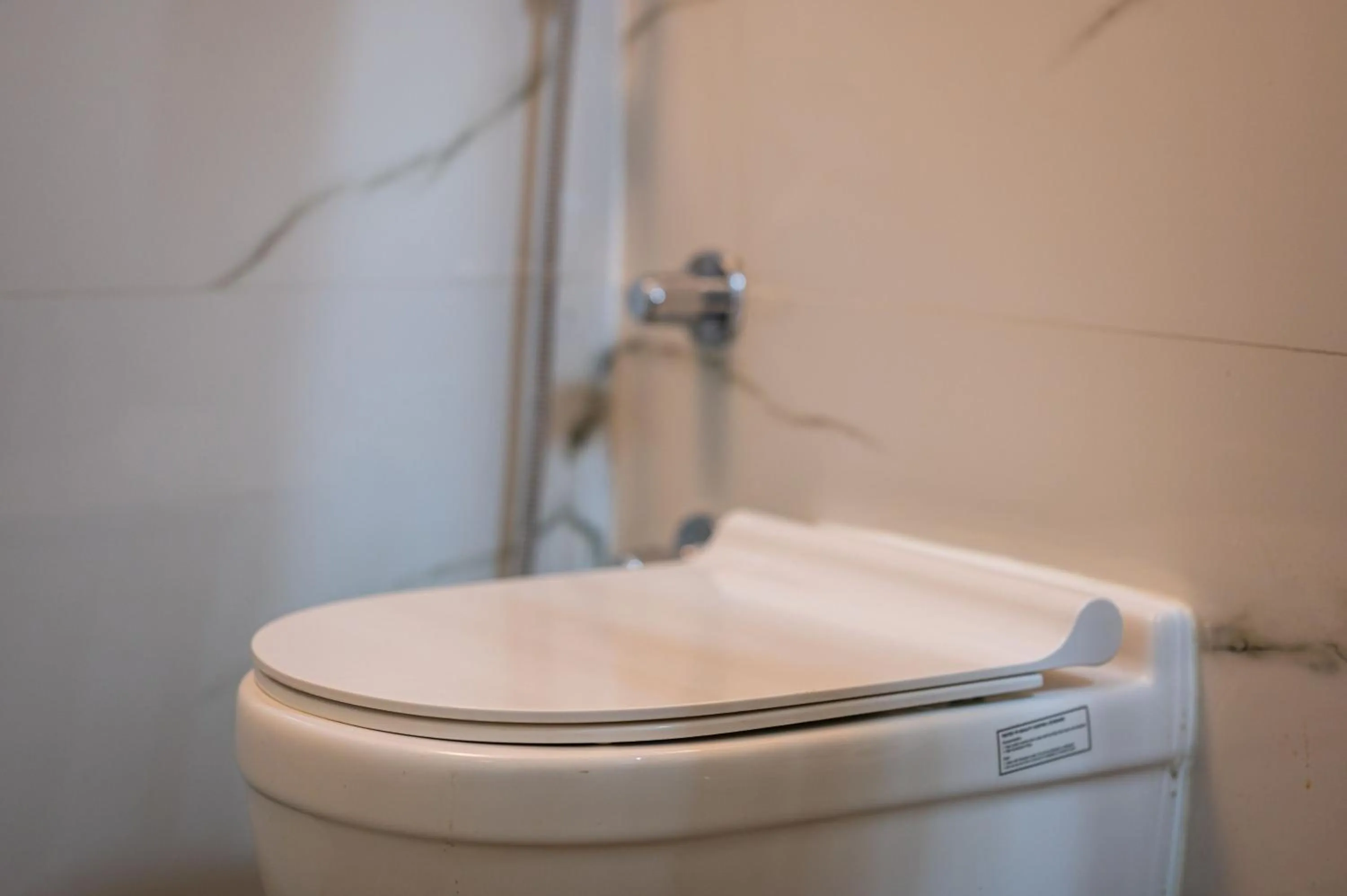 Toilet in Hotel Meraden Opus , Anjuna Beach Goa