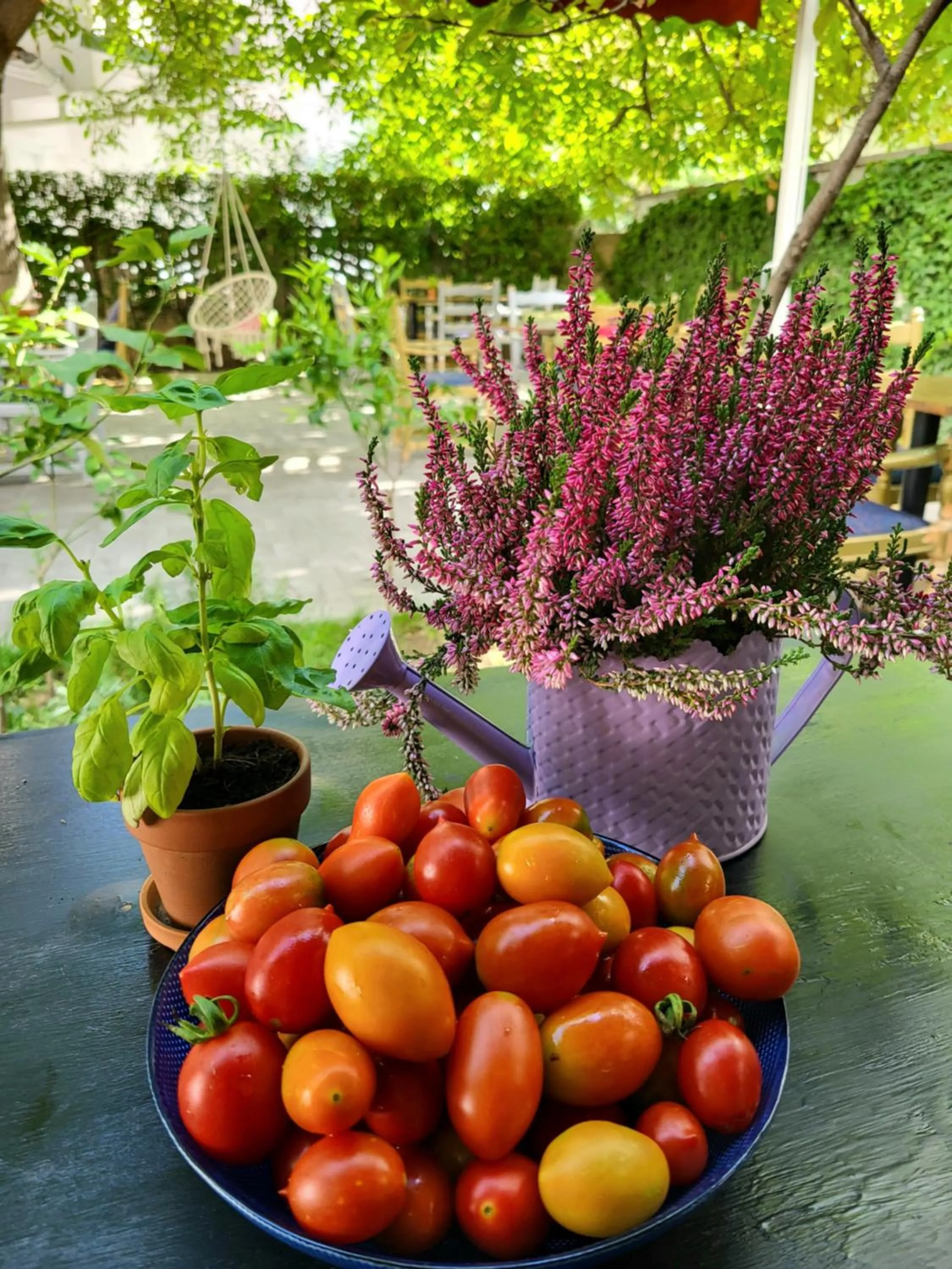 Garden in Grand Boutique Hotel