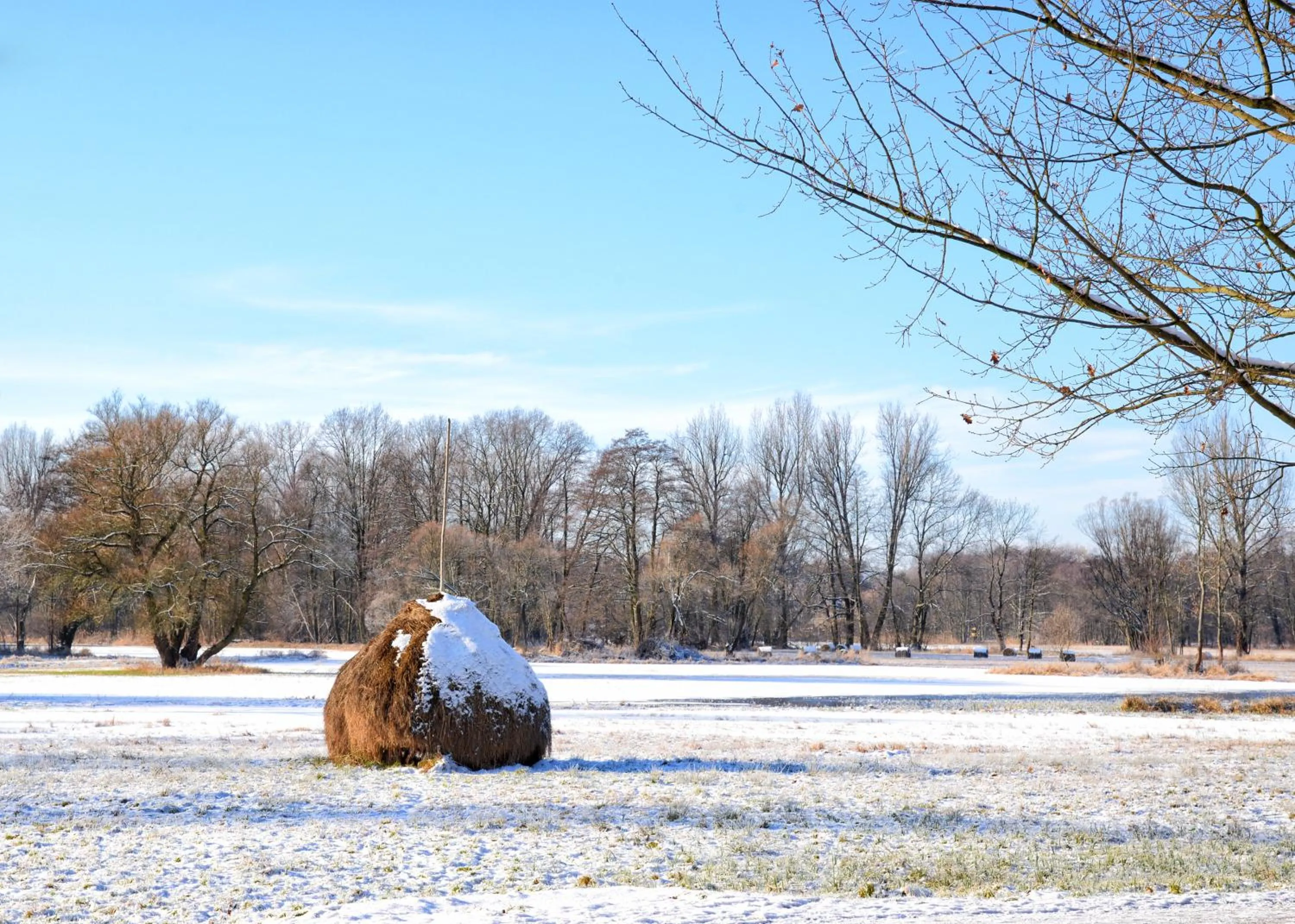 Natural landscape in Hotelanlage Starick