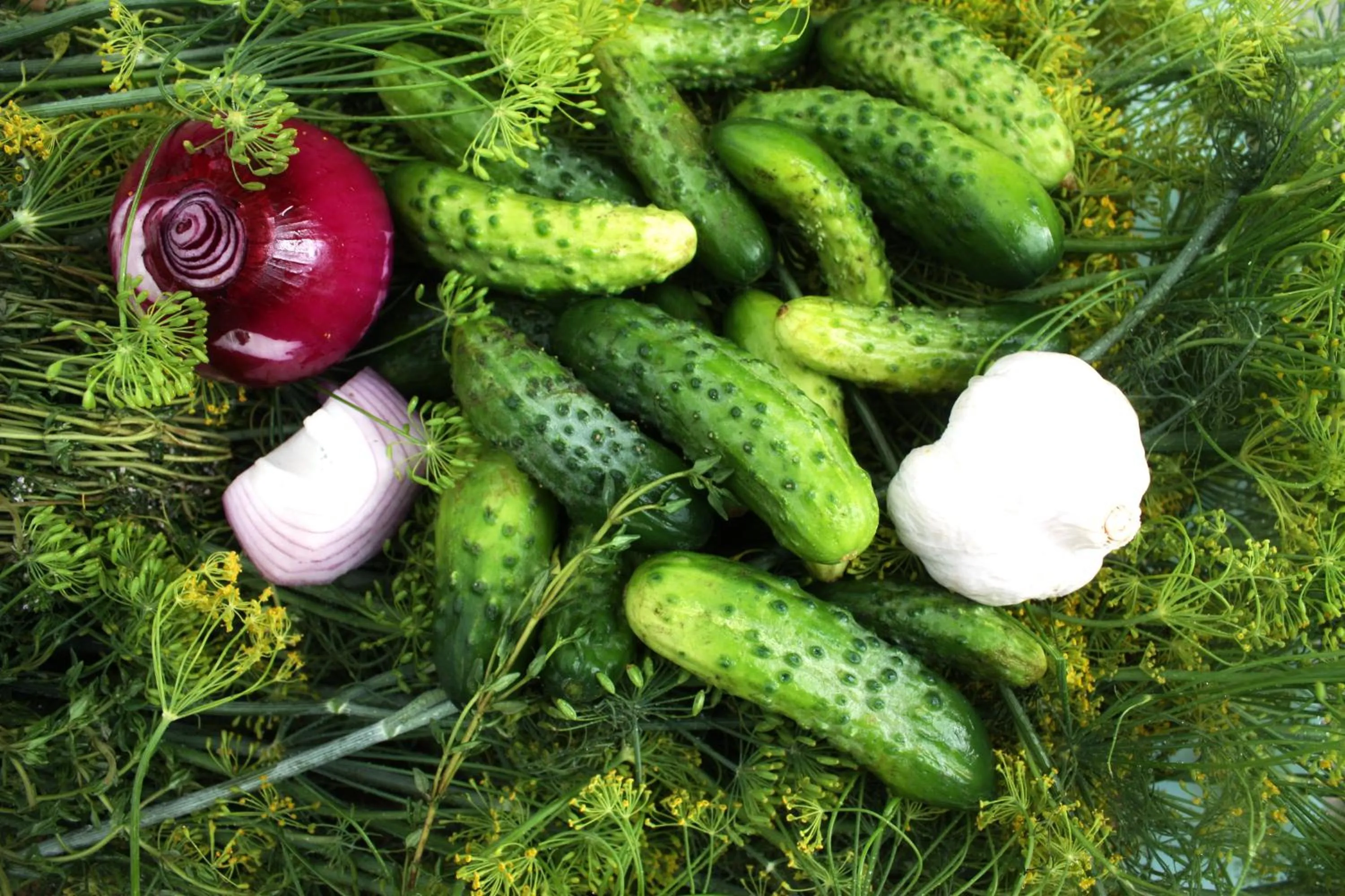 Food in Hotelanlage Starick