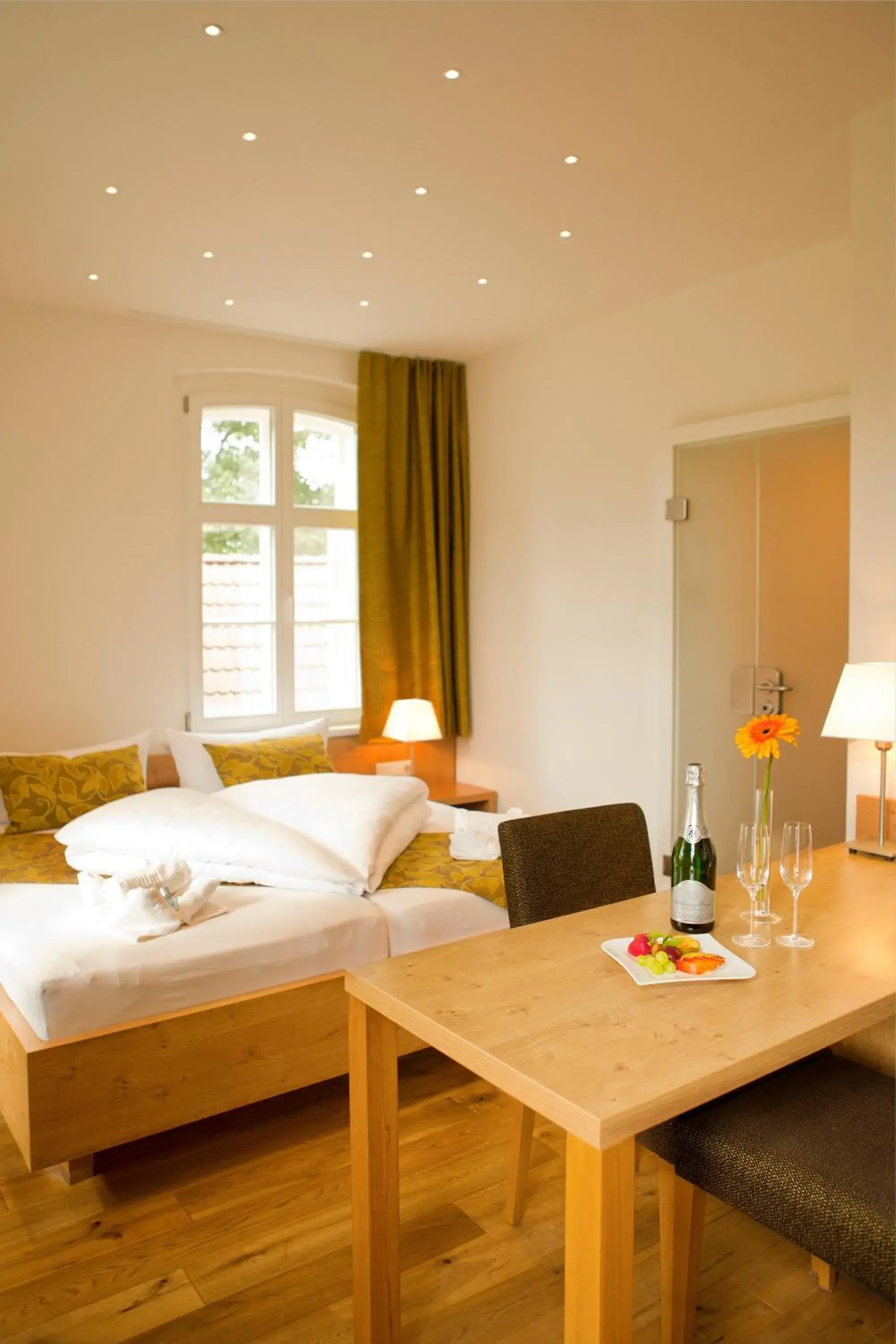 Double Room with Waterbed and shared terrace in Hotelanlage Starick Double Room with Waterbed and shared terrace in Hotelanlage Starick