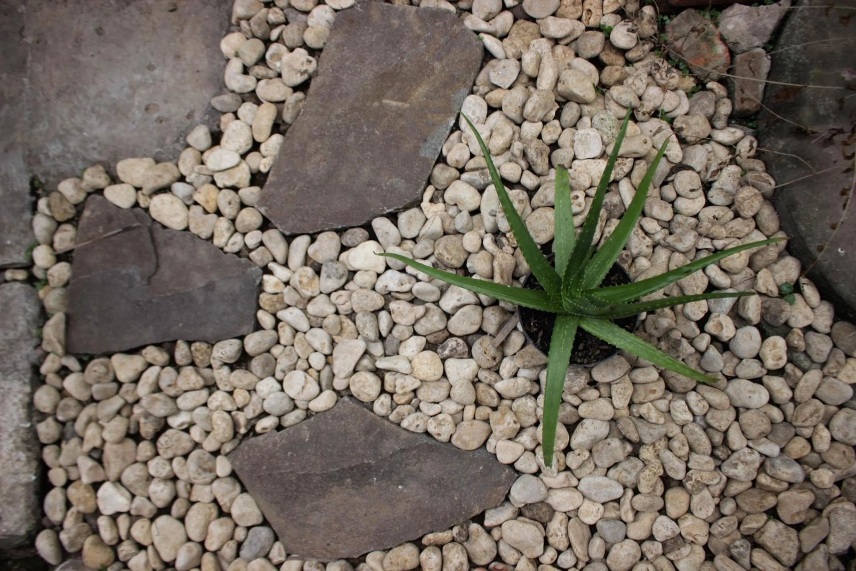 Garden in Reeneo Guesthouse