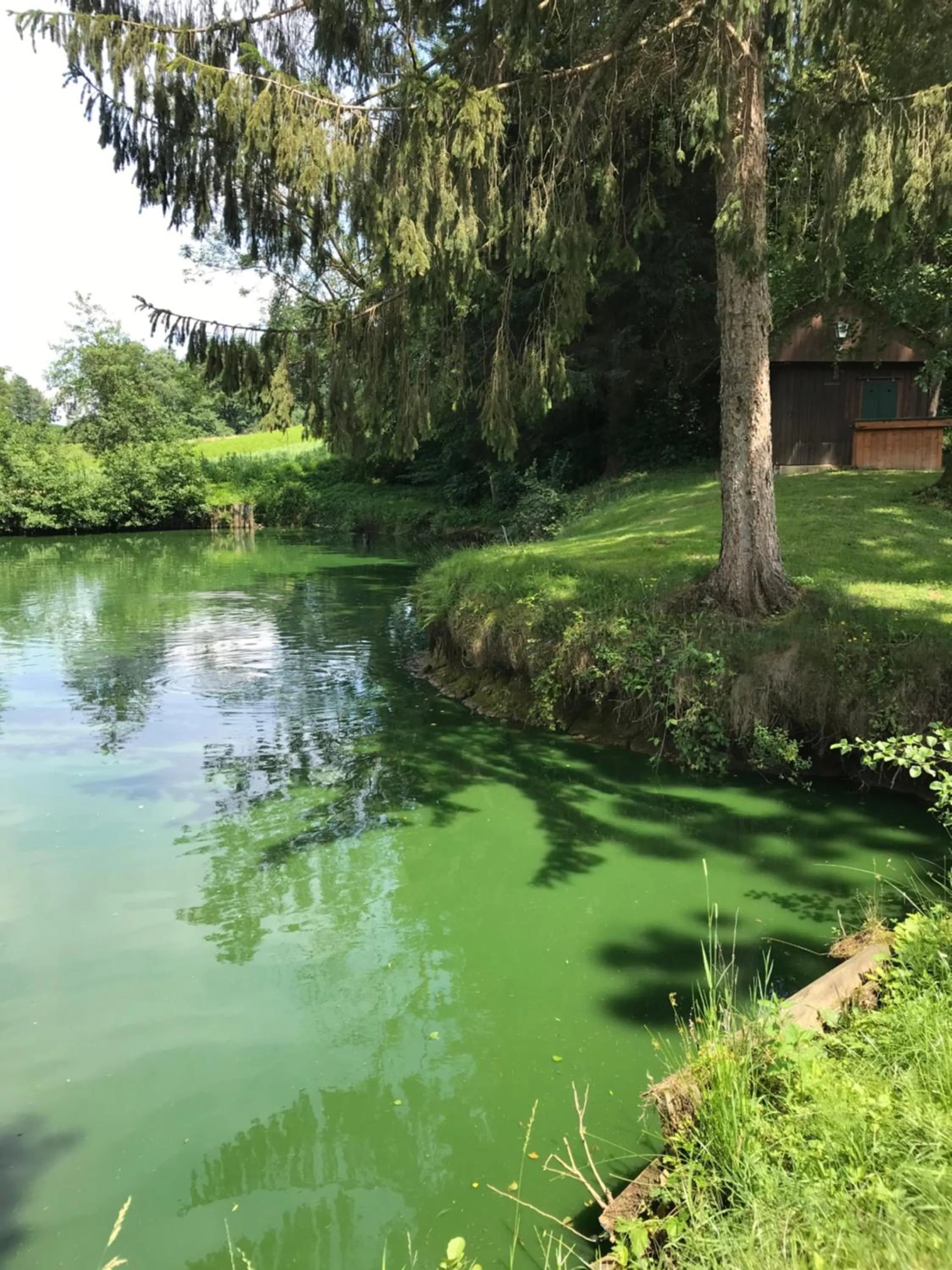 Hotel Restaurant Hesch