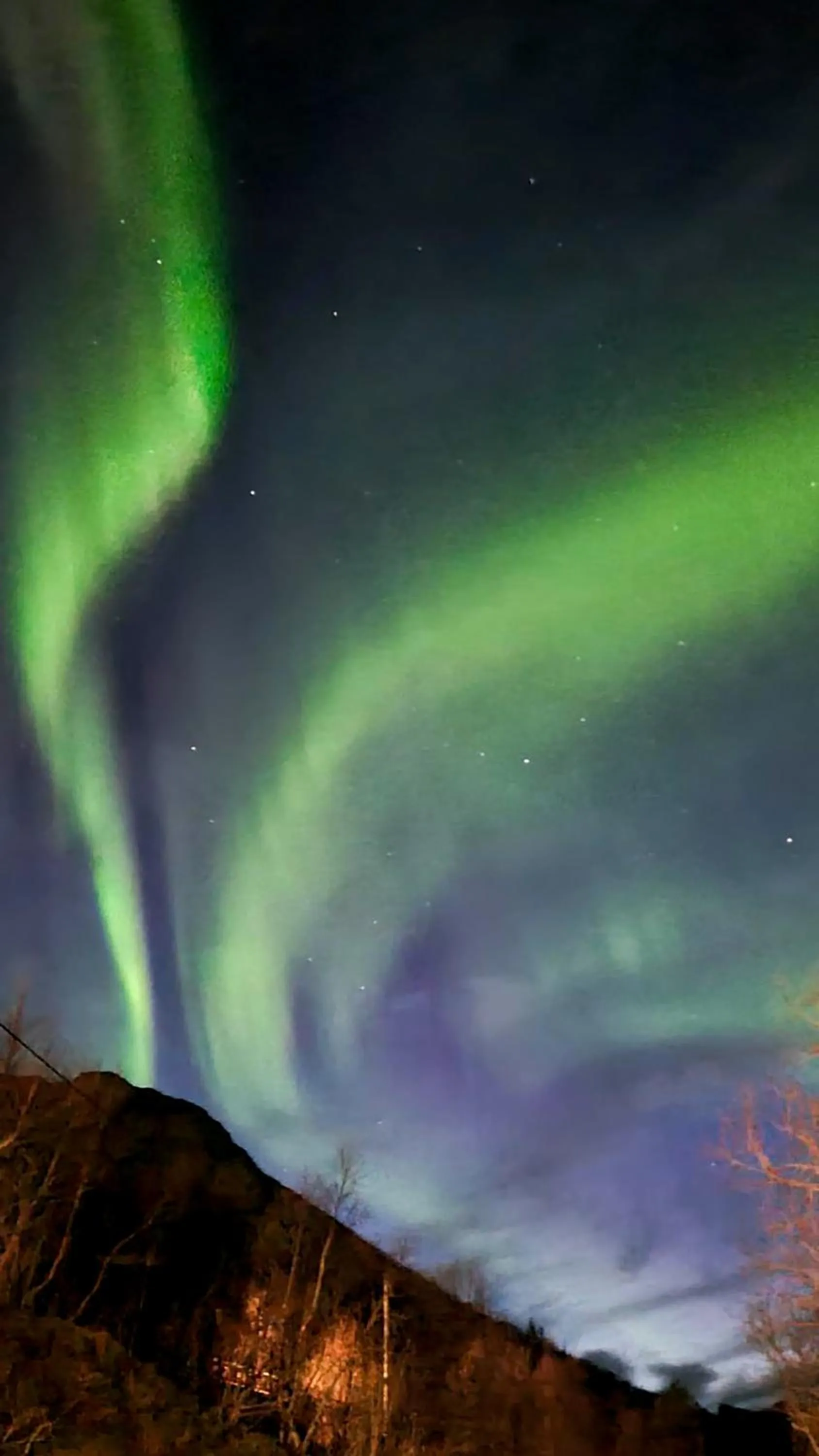 Night in Nordis Apartments