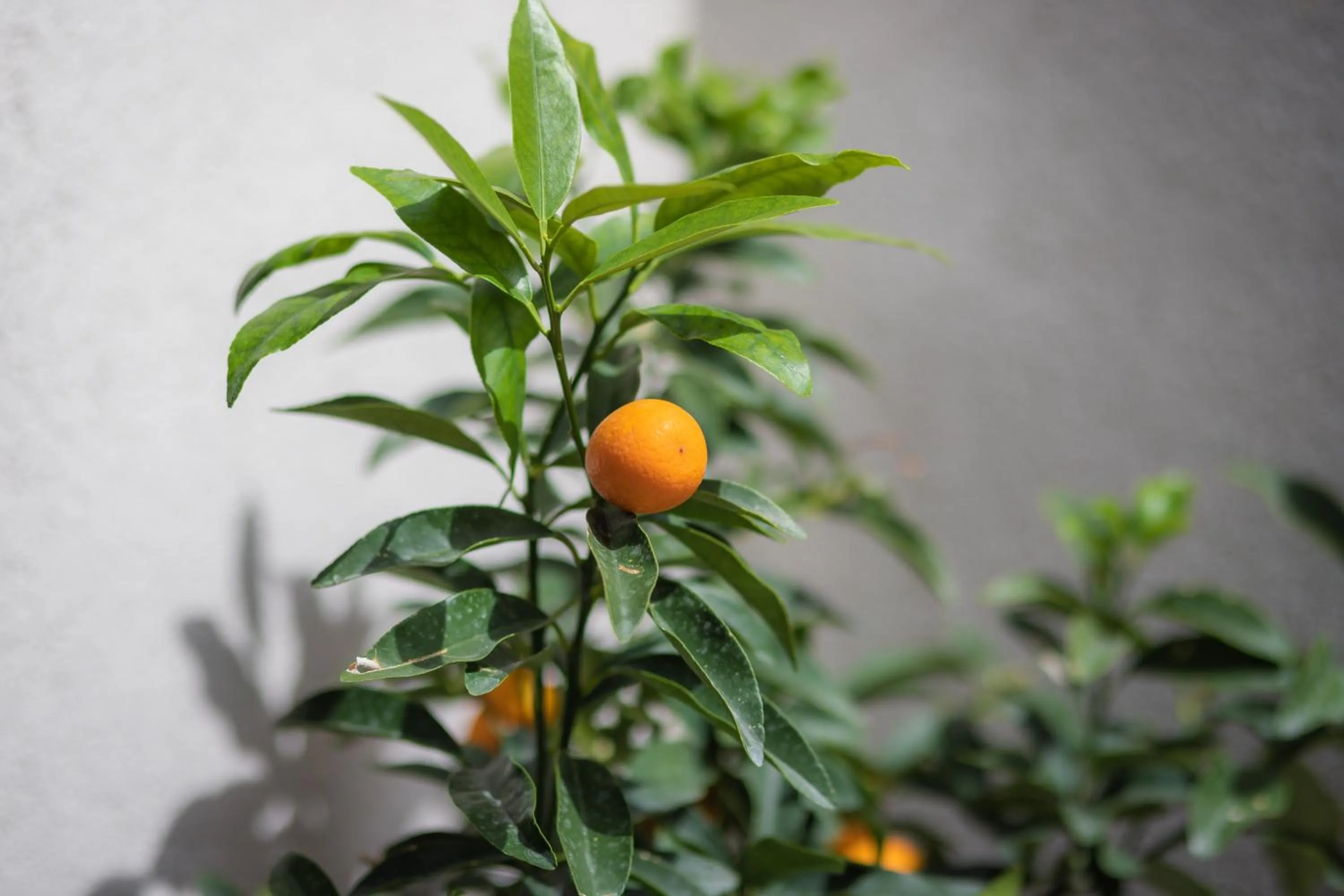 La Casa Di Filò Boutique