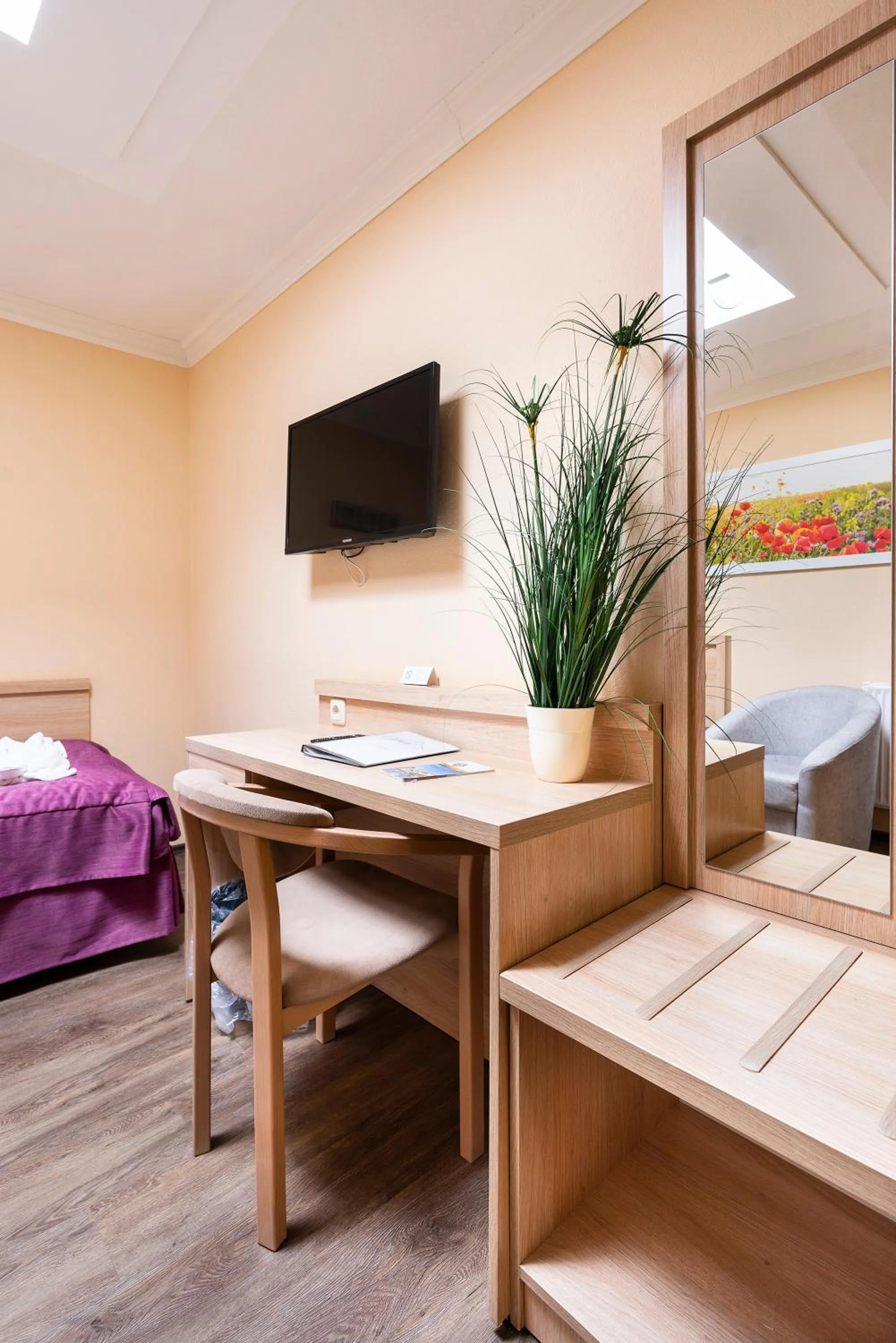 TV and multimedia, Bed in Cityhotel Bernburg