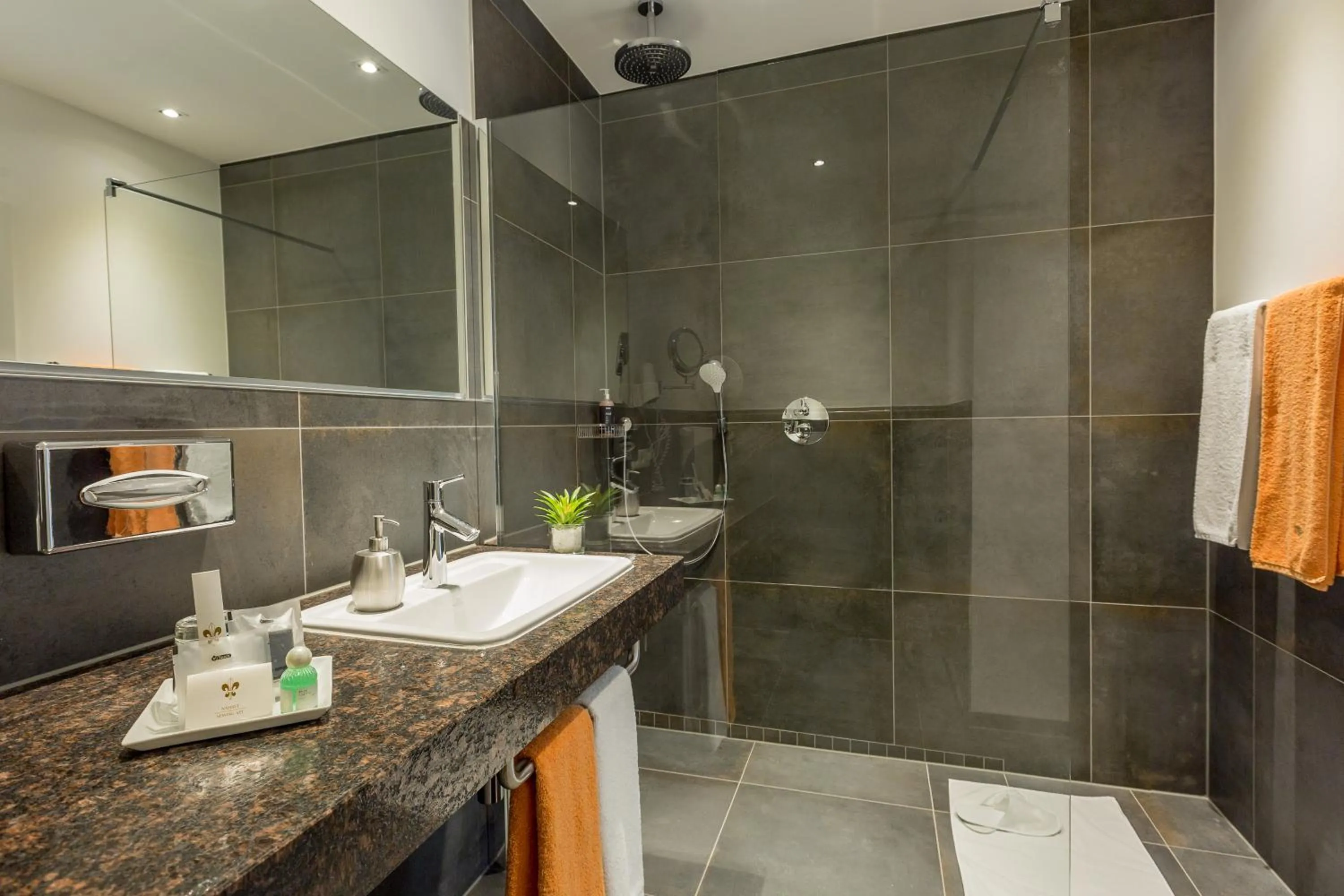 Shower in Landhotel Bartmann