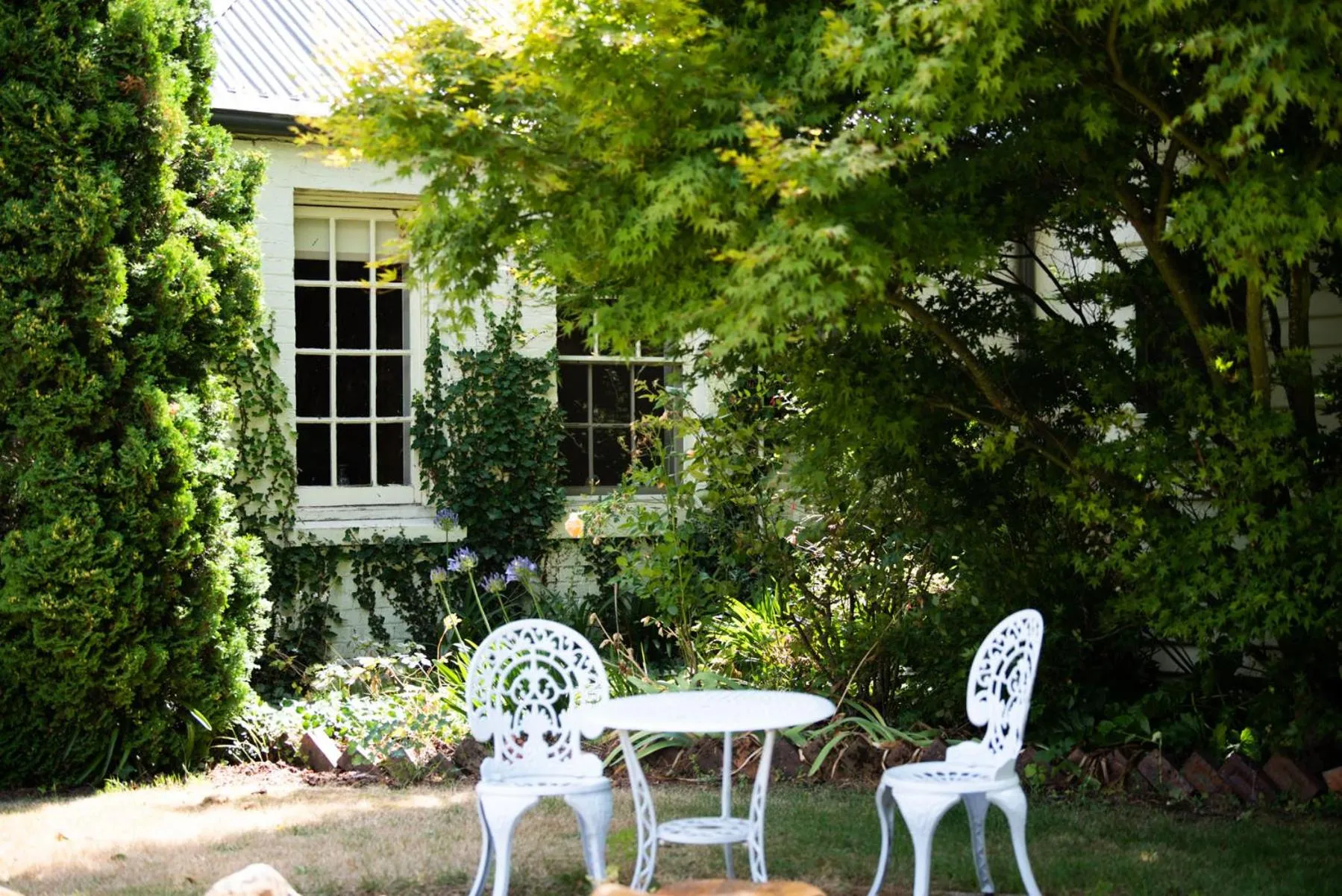 Garden in Fitzpatricks Inn