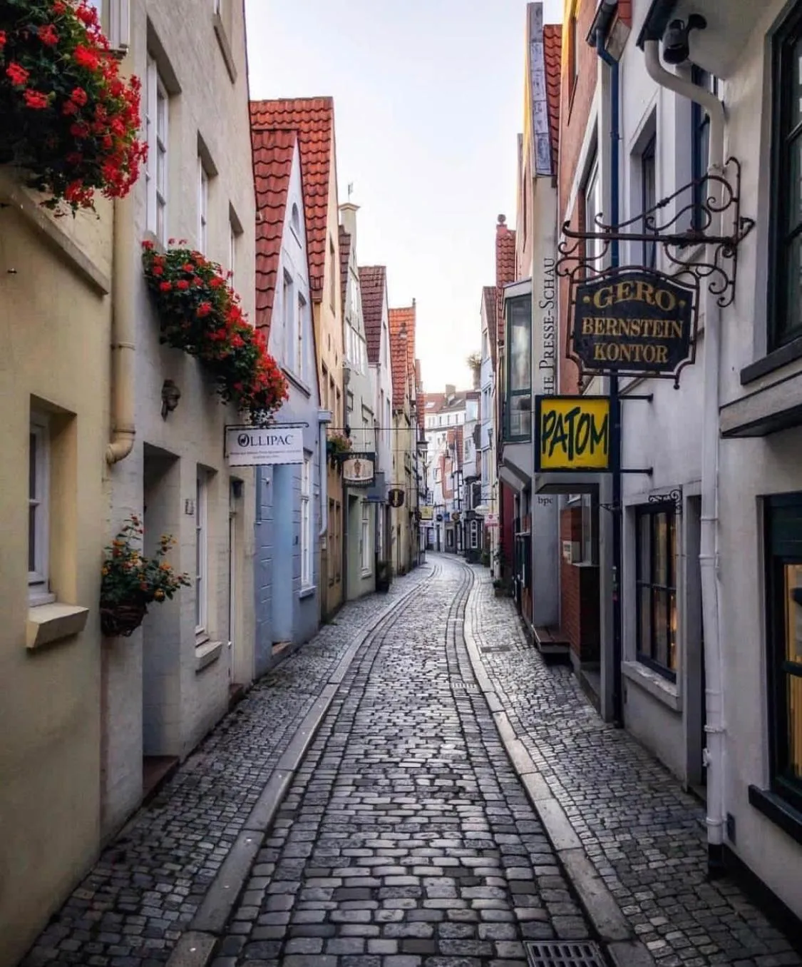 Natural landscape in Hotel Edel Weiss