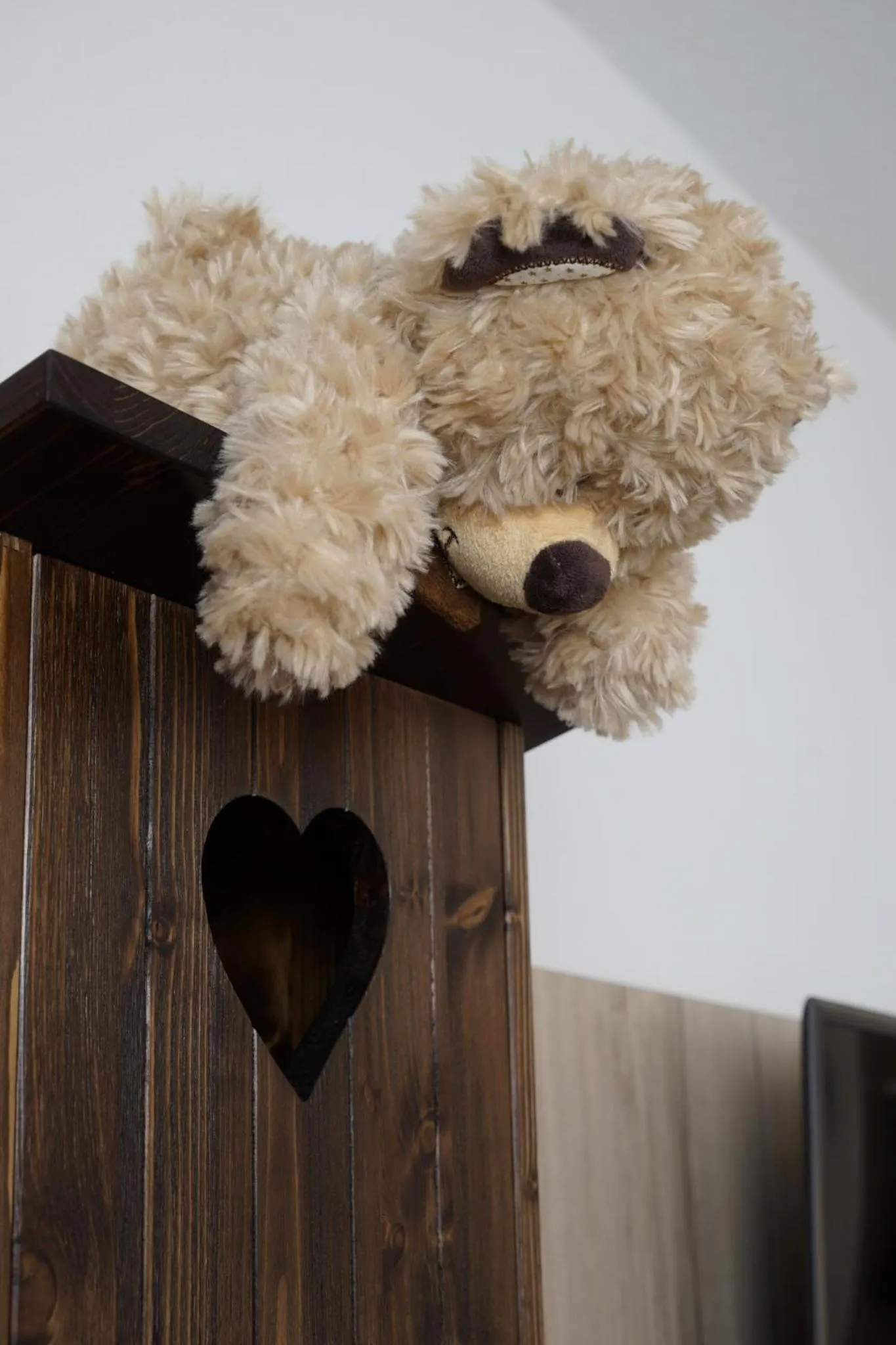 Animals in Hotel Edel Weiss