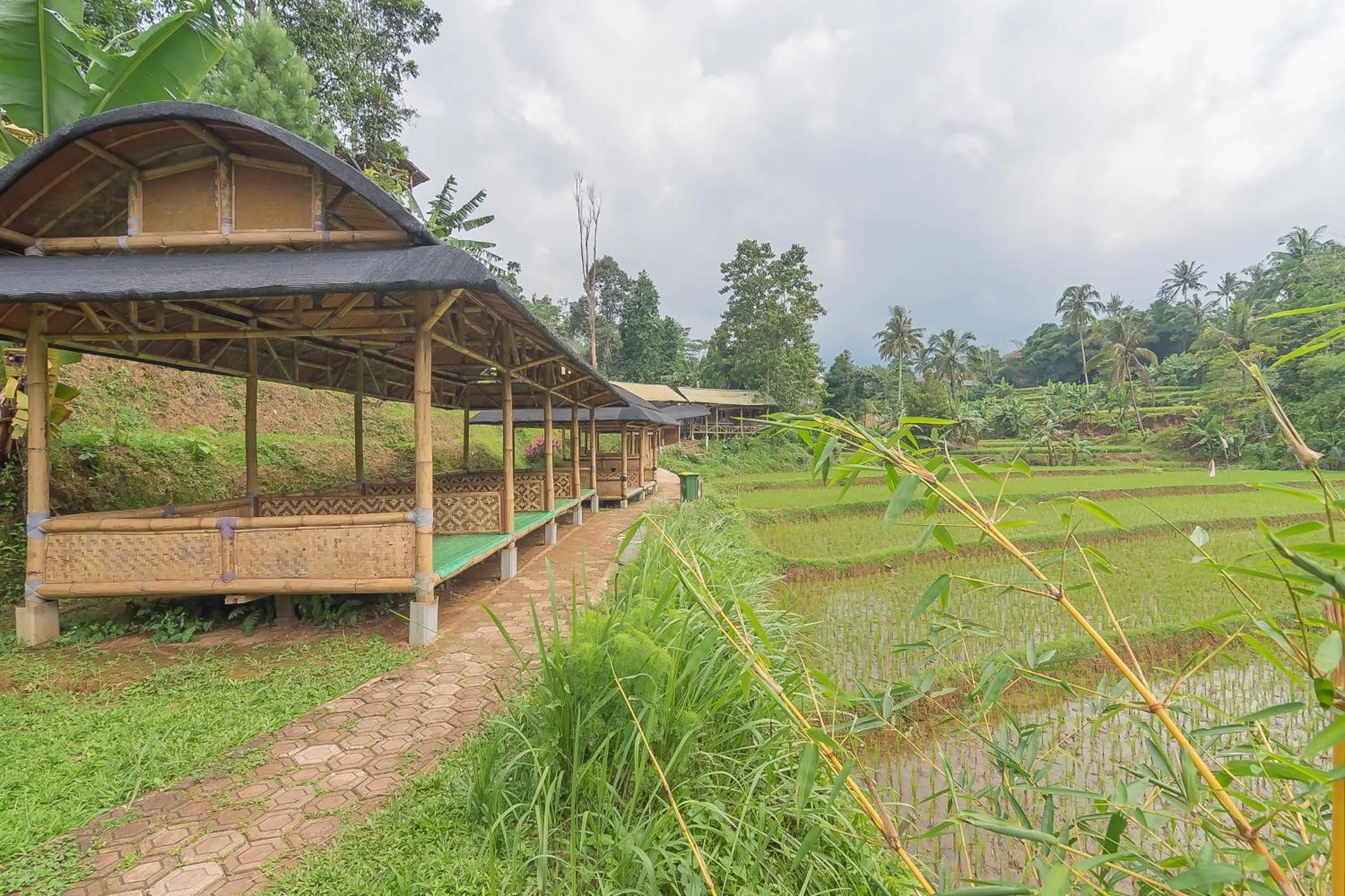 Garden in RedDoorz Resort Syariah @ Batu Apung Purwakarta
