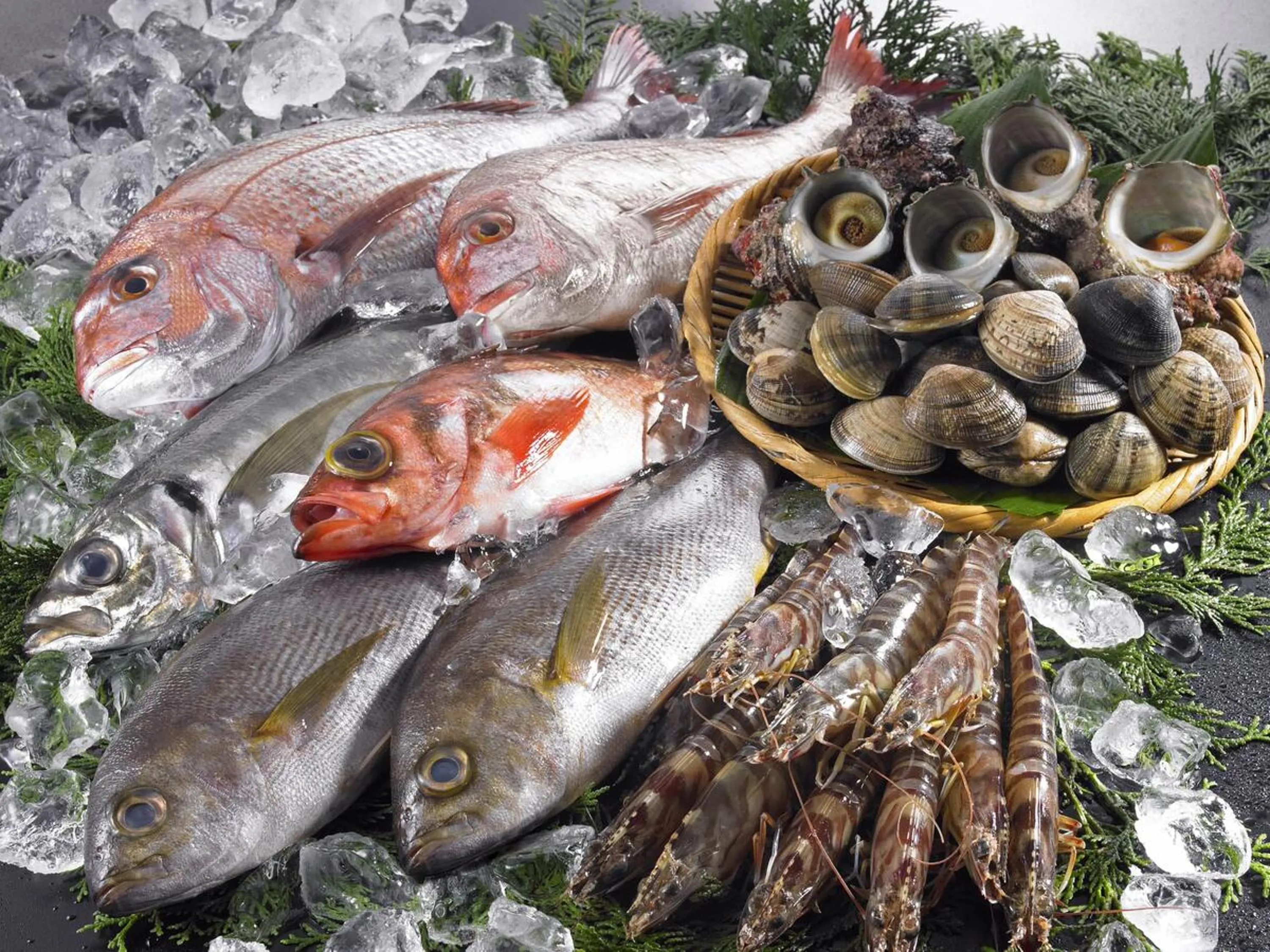 Food and drinks in Garden Terrace Fukuoka