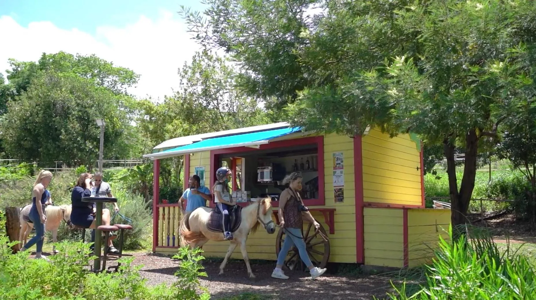 Horse-riding in Gadiamb City