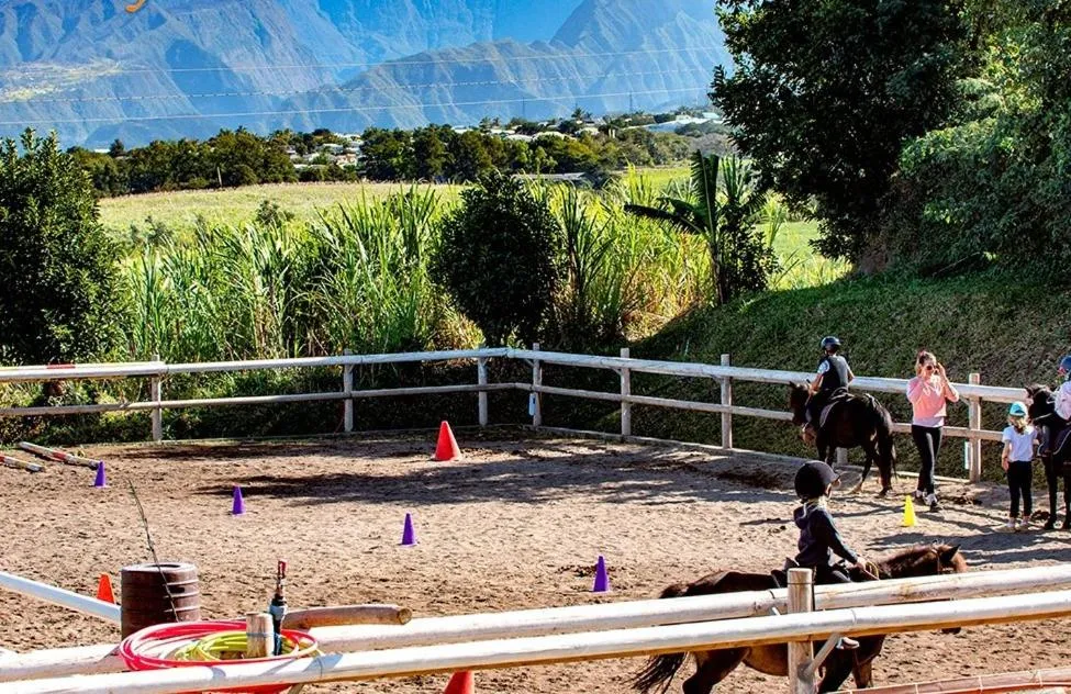 Horse-riding in Gadiamb City
