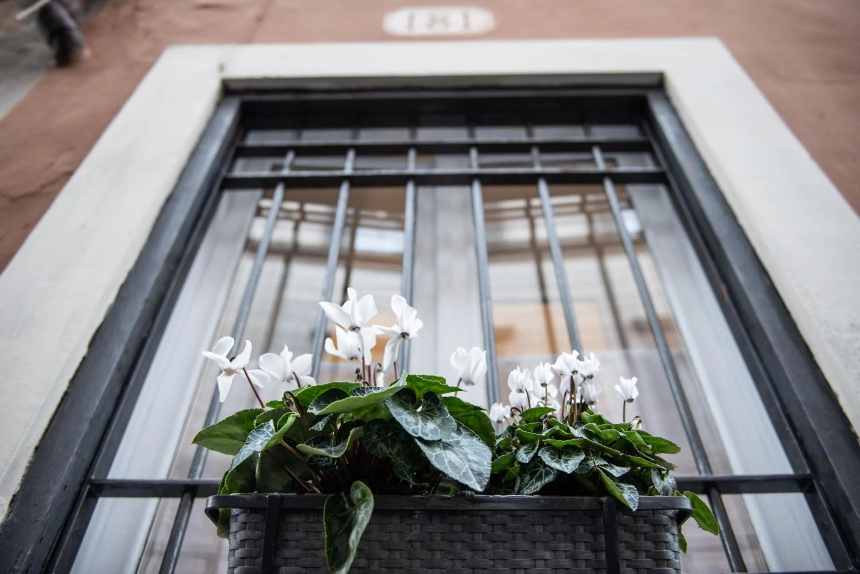 Facade/entrance in Sweet Arco Farnese