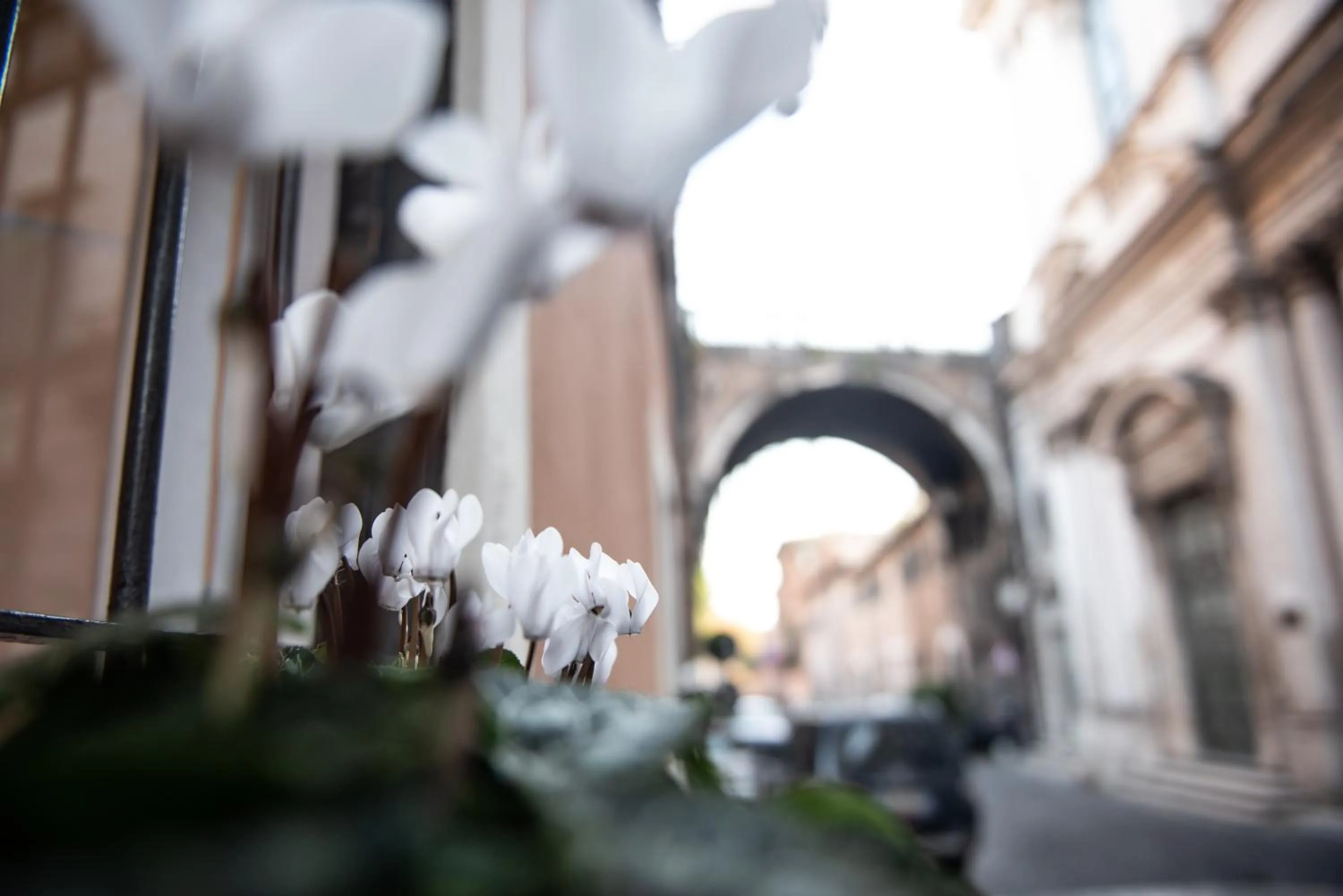 Nearby landmark in Sweet Arco Farnese