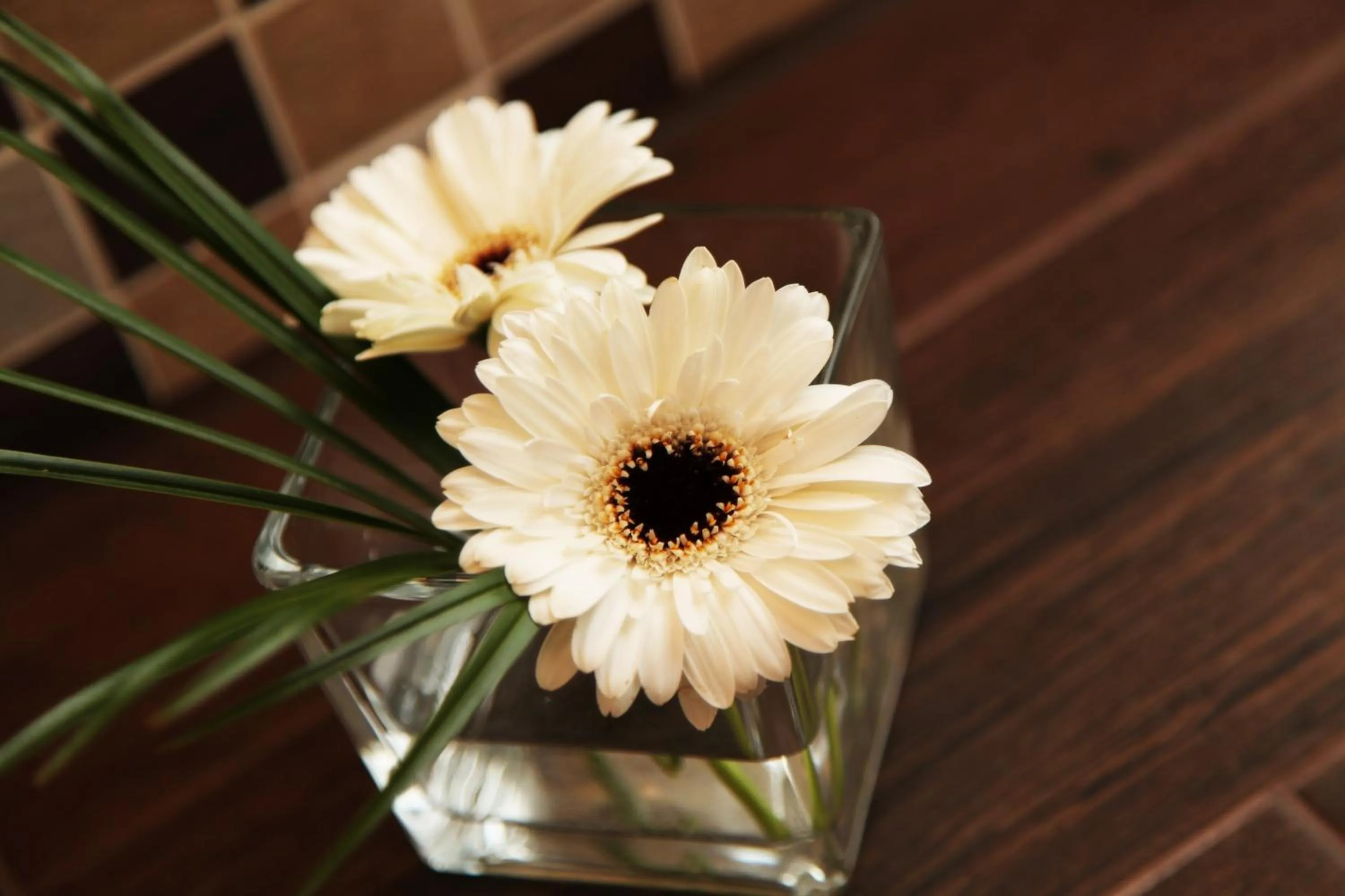 Other in Der Bayerische Hof