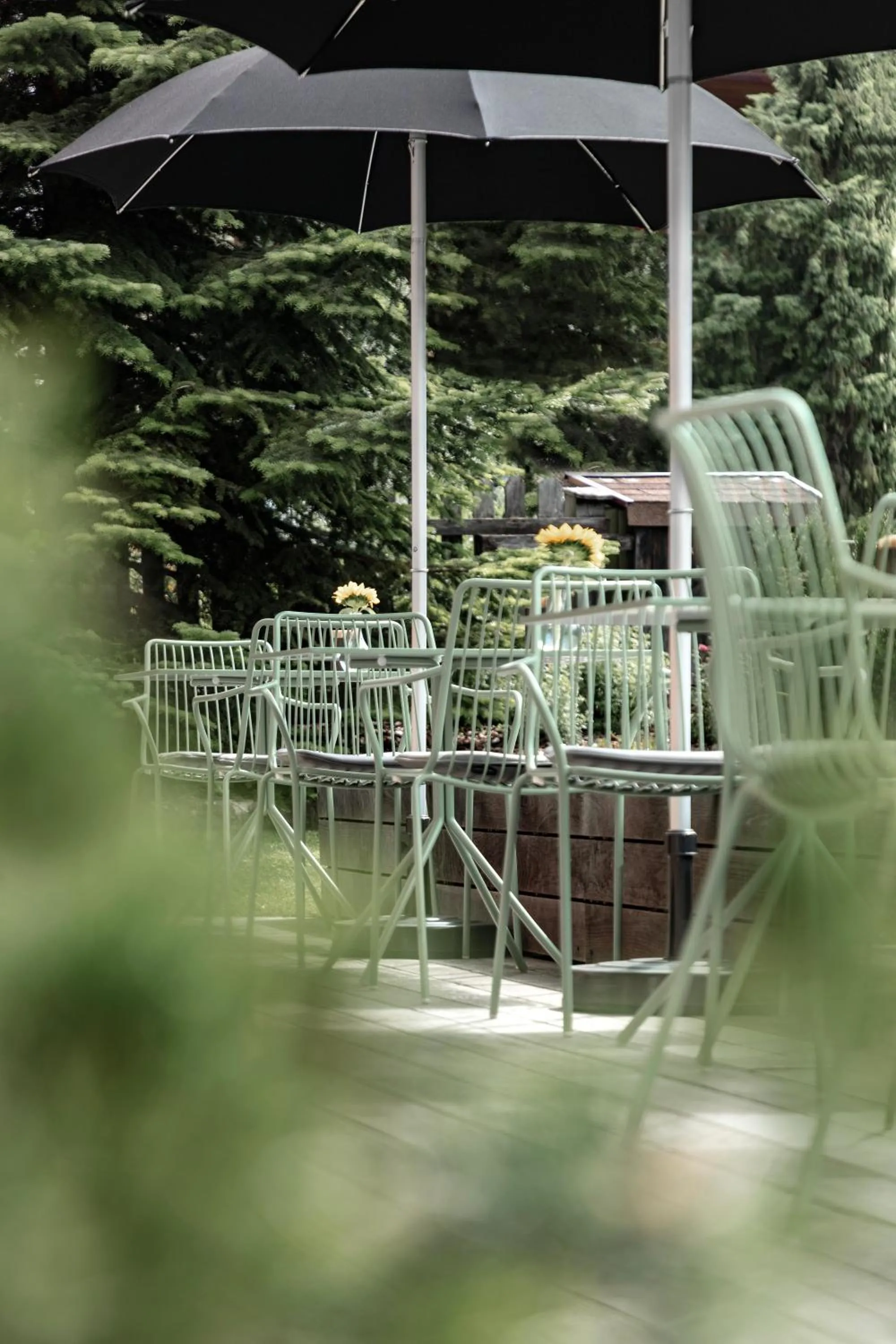 Garden in Casa al Sole