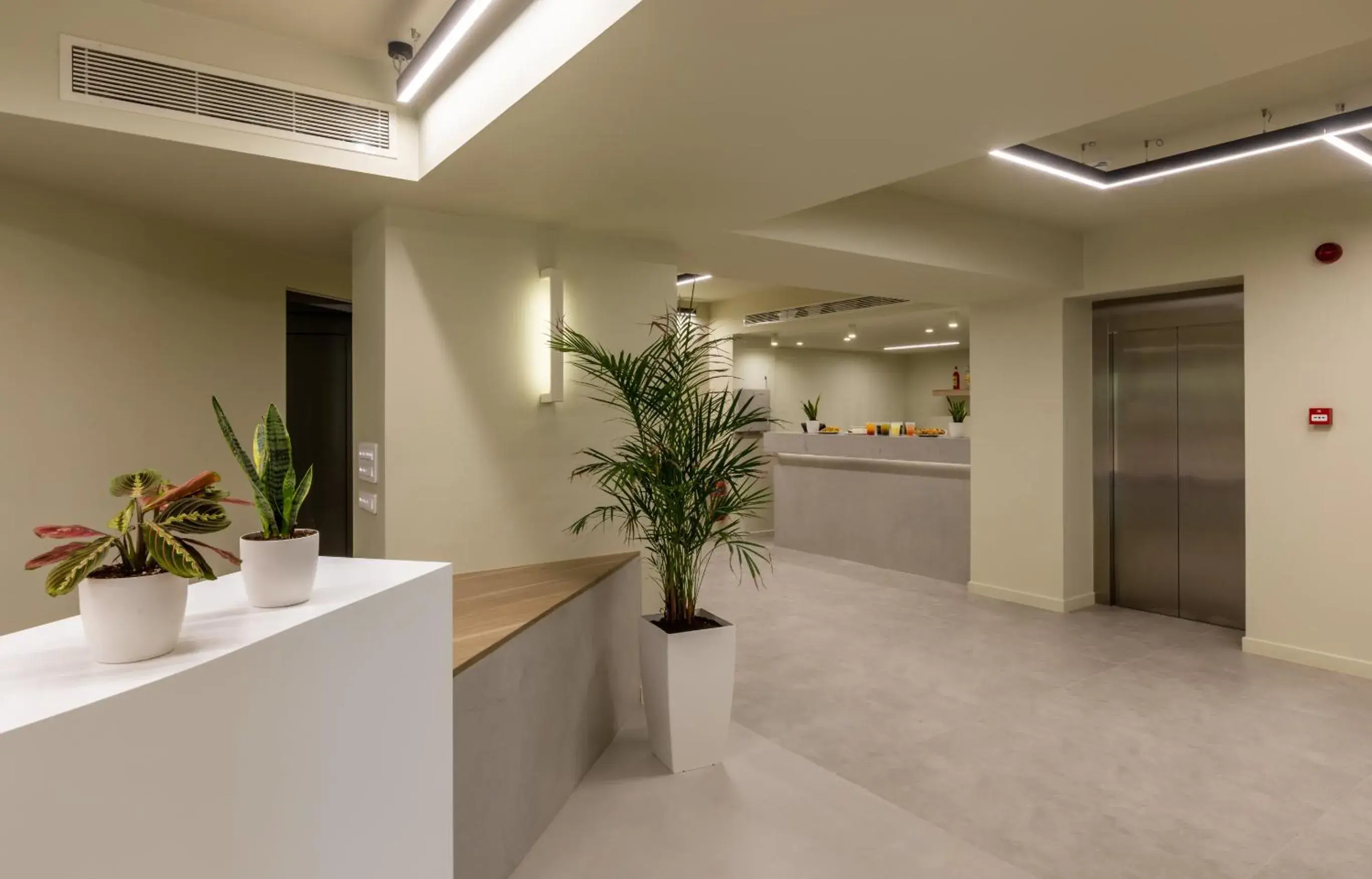 Lobby or reception in White Olive Elite Rethymno Lobby or reception in White Olive Elite Rethymno