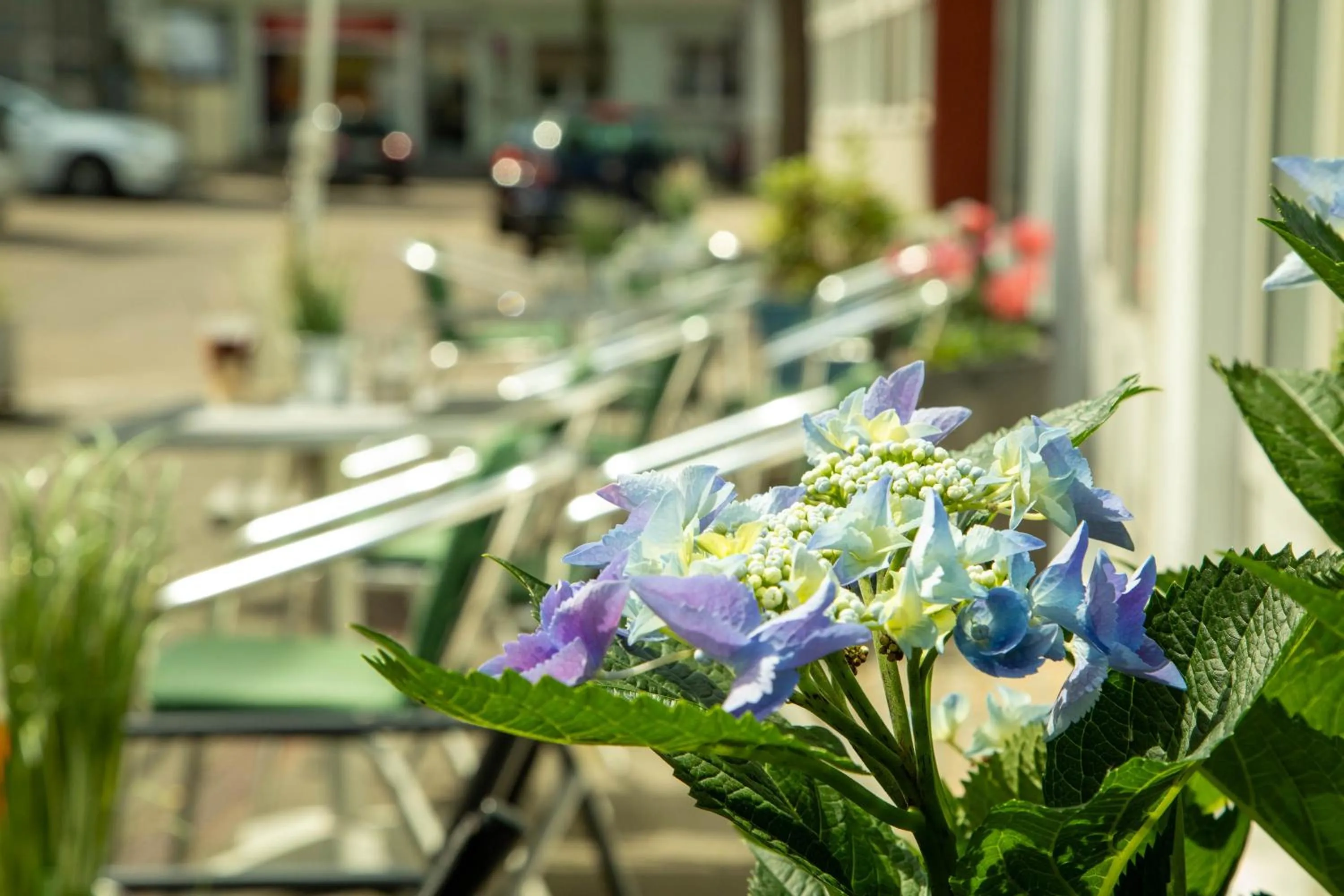 Property building in hogh Hotel Heilbronn