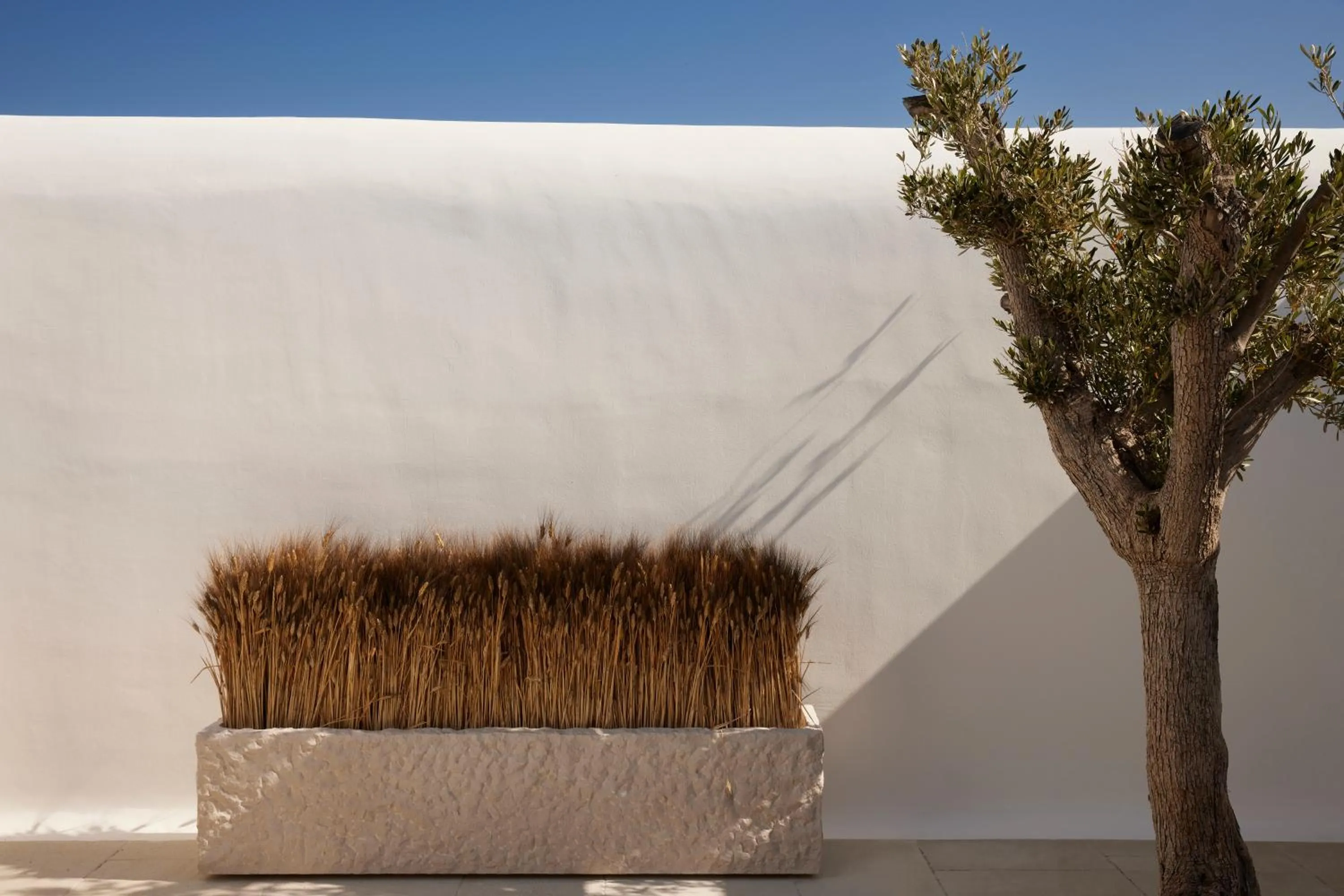 Facade/entrance in Kalesma Mykonos