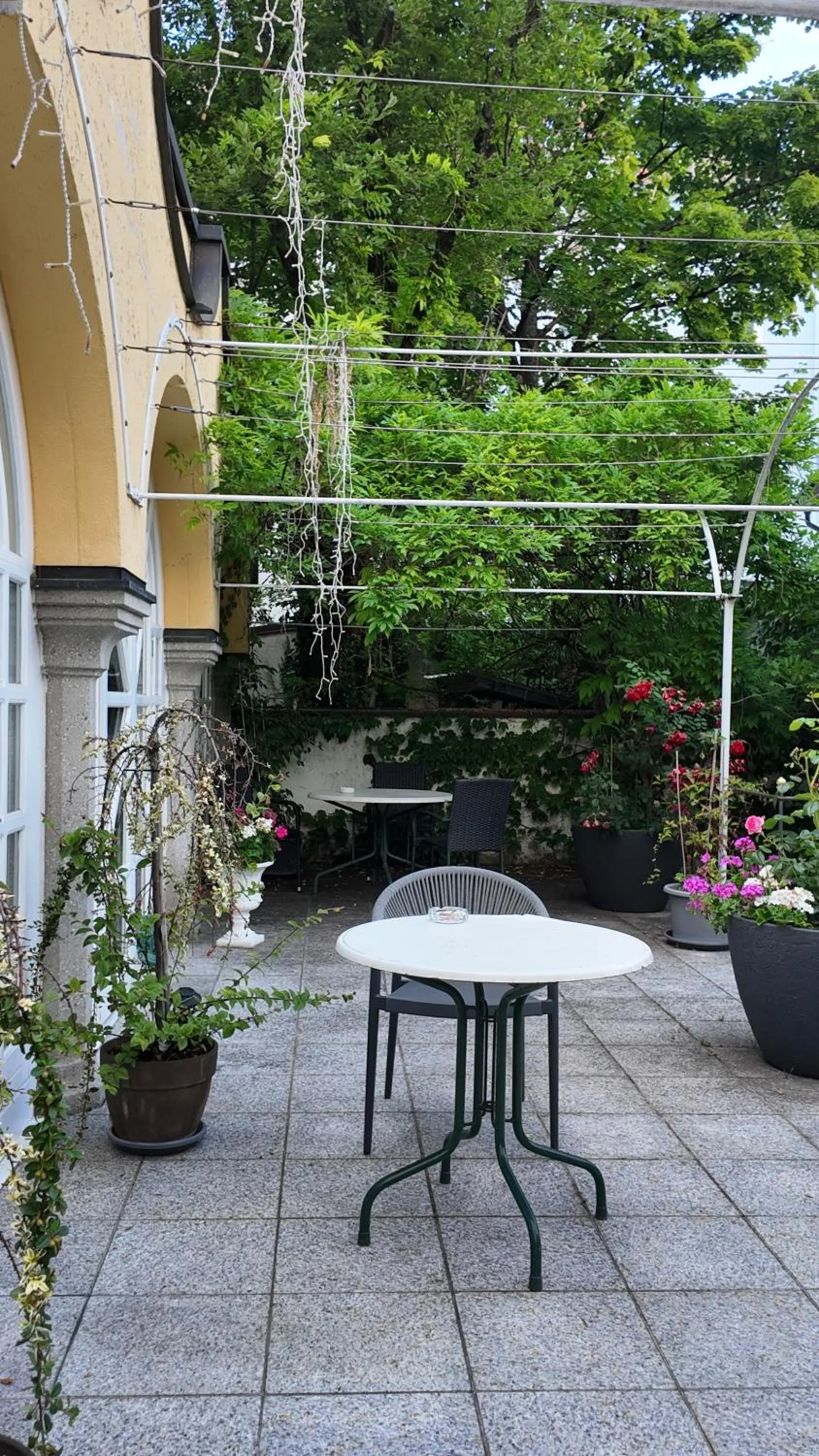 Garden in Hotel Aurbacher Hof GmbH