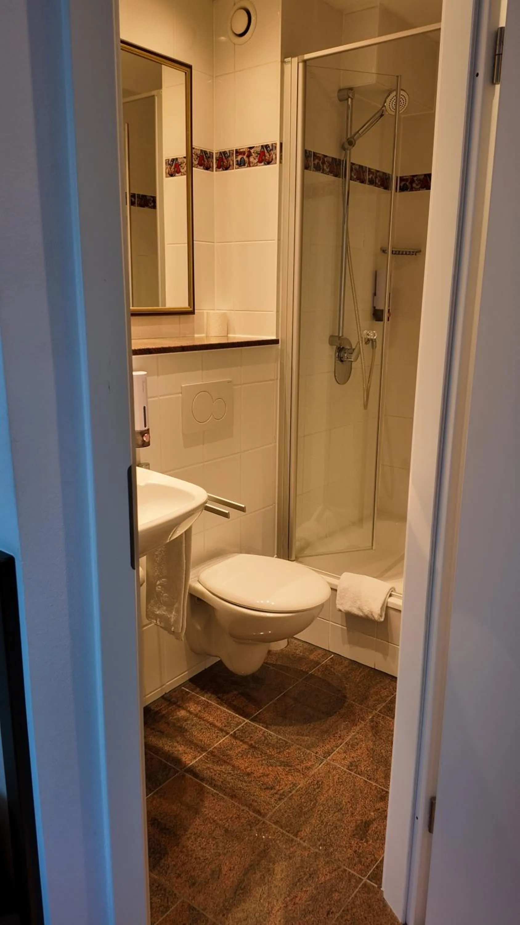 Shower in Hotel Aurbacher Hof GmbH