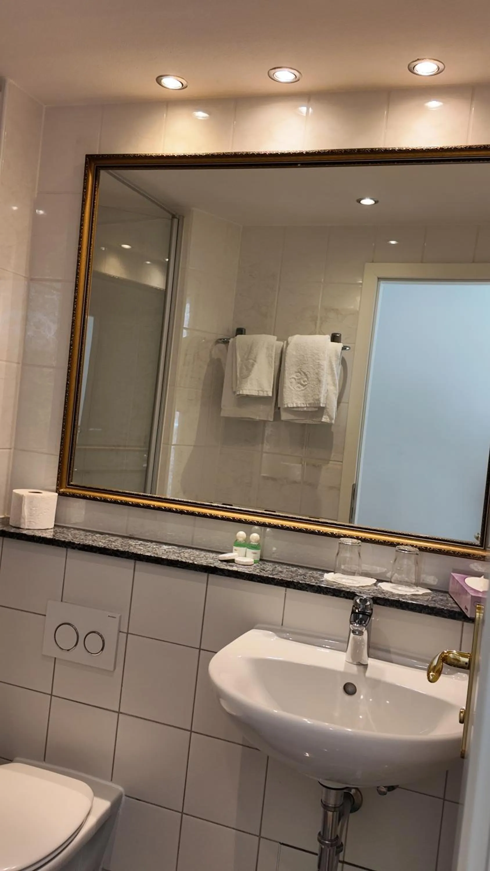 Toilet in Hotel Aurbacher Hof GmbH