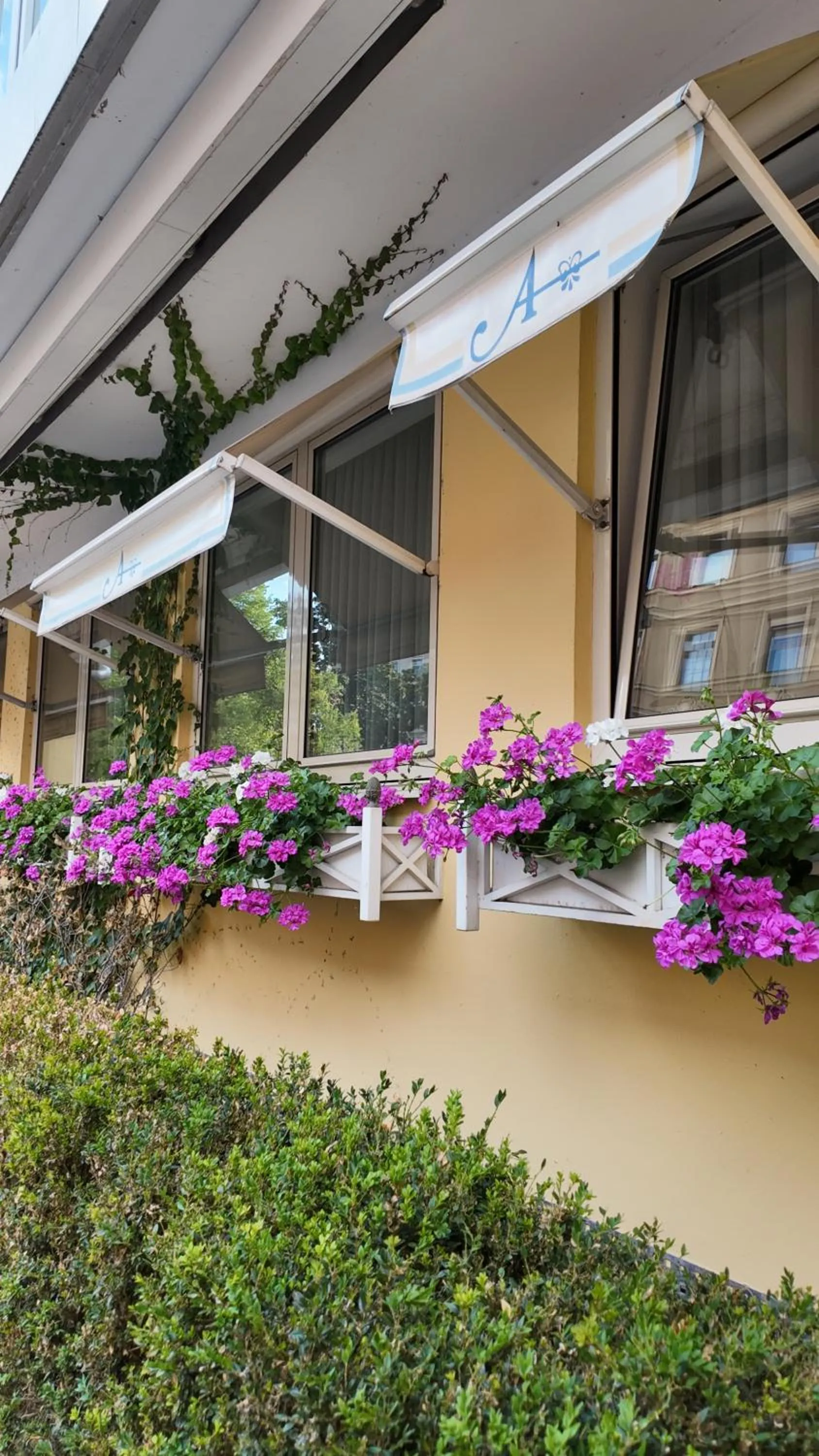 Facade/entrance in Hotel Aurbacher Hof GmbH