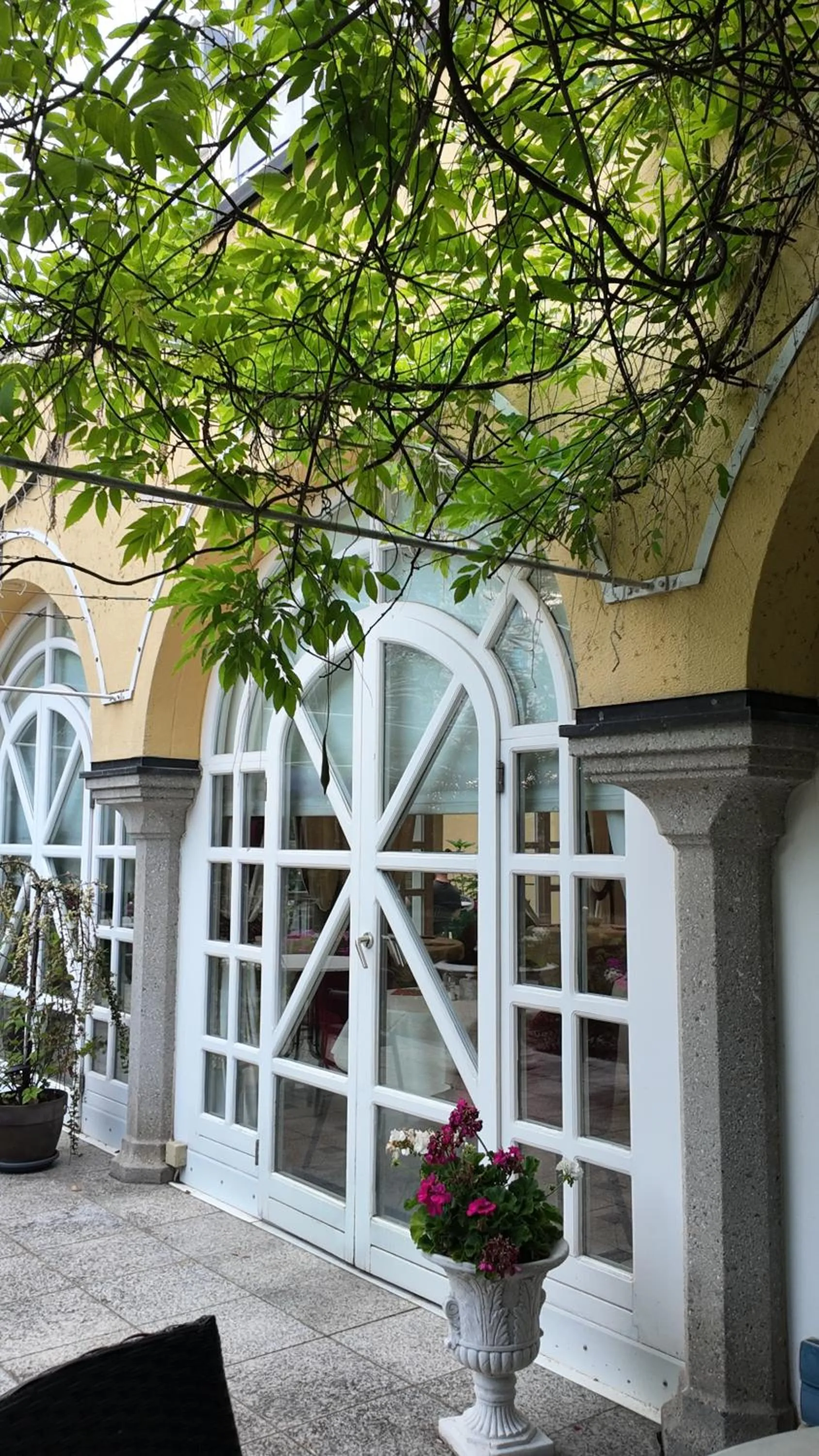 Garden in Hotel Aurbacher Hof GmbH
