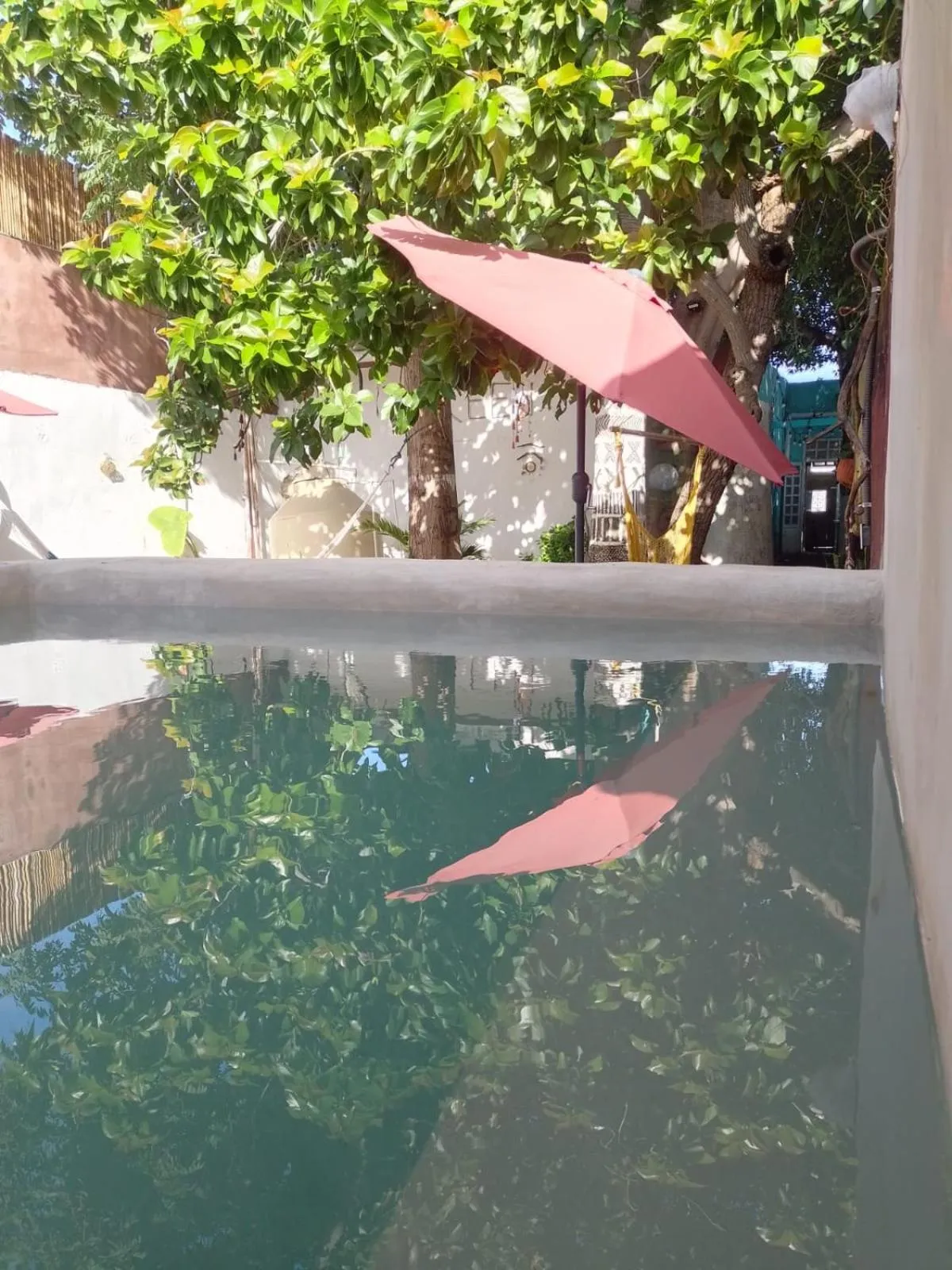 Swimming pool in La Casa del Kéej Hostel