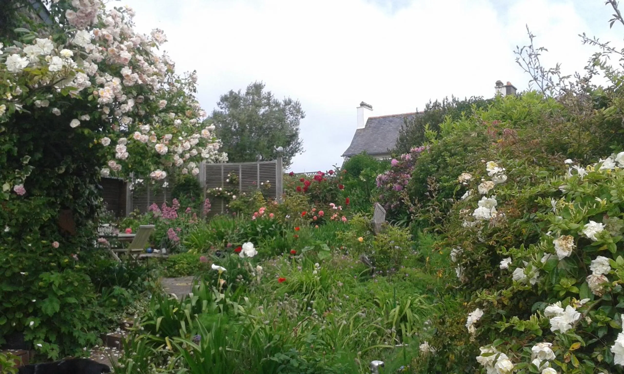 Garden in GIVERNY COTTAGE