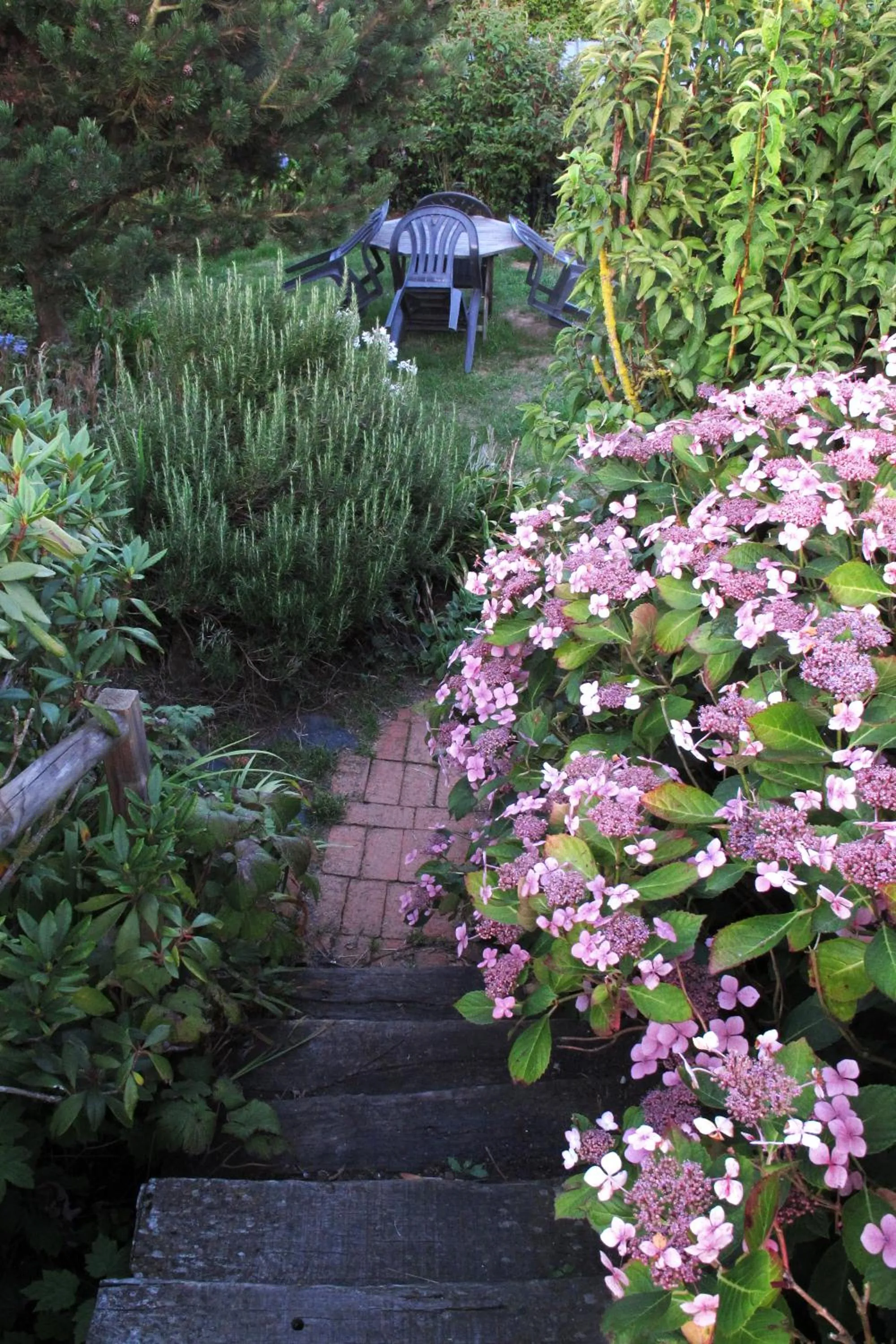 Garden in GIVERNY COTTAGE