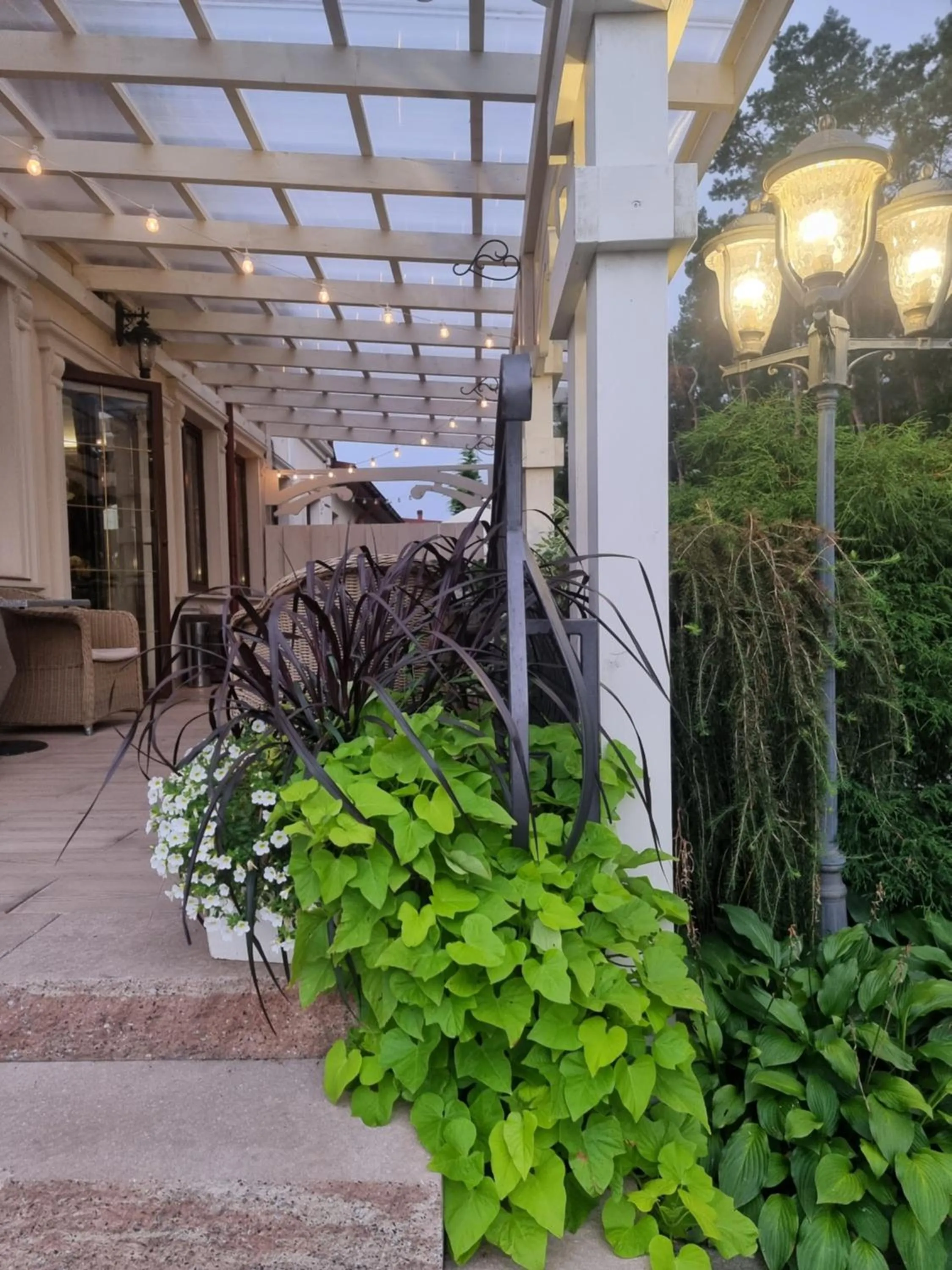 Property building in Dworek za Lasem