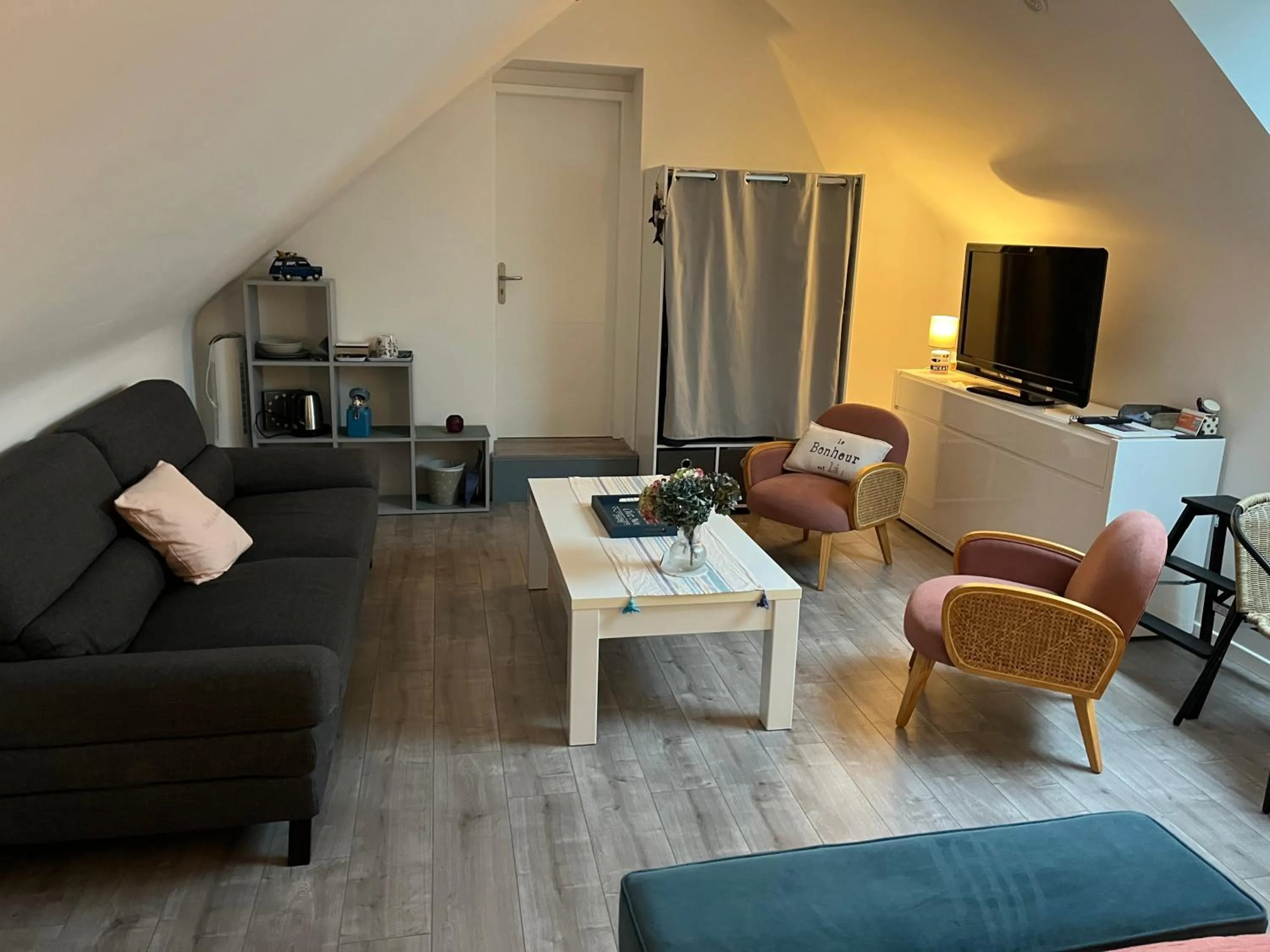 TV and multimedia in Au plaisir d’accueillir