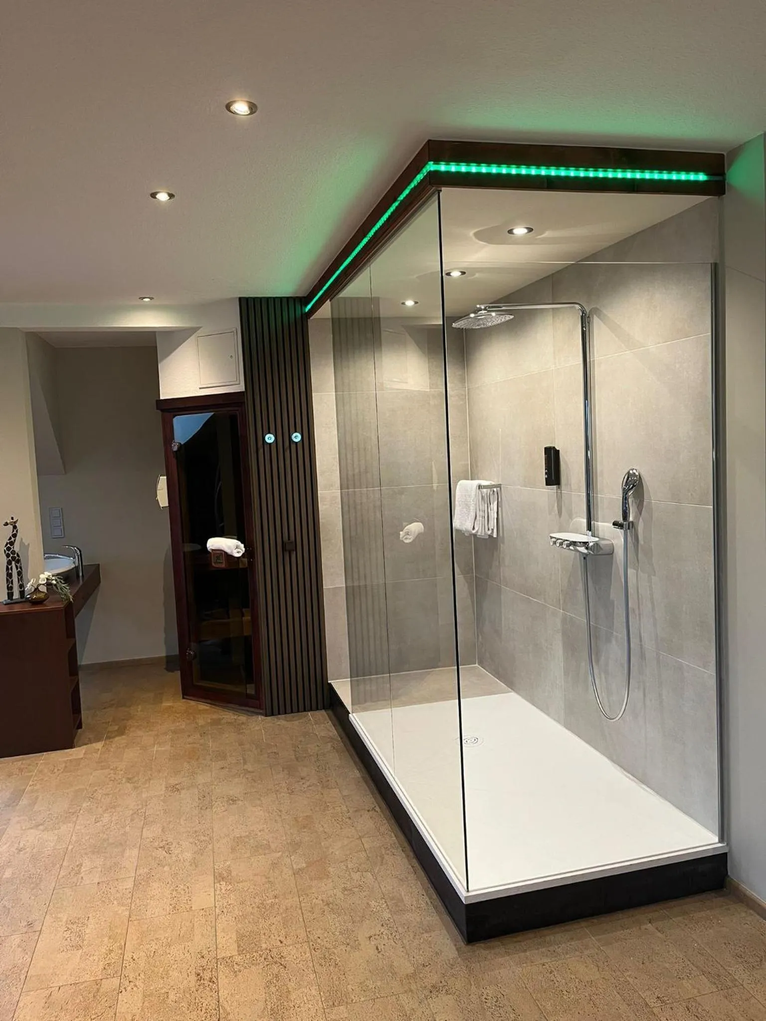 Shower in Hotel Dampfmühle