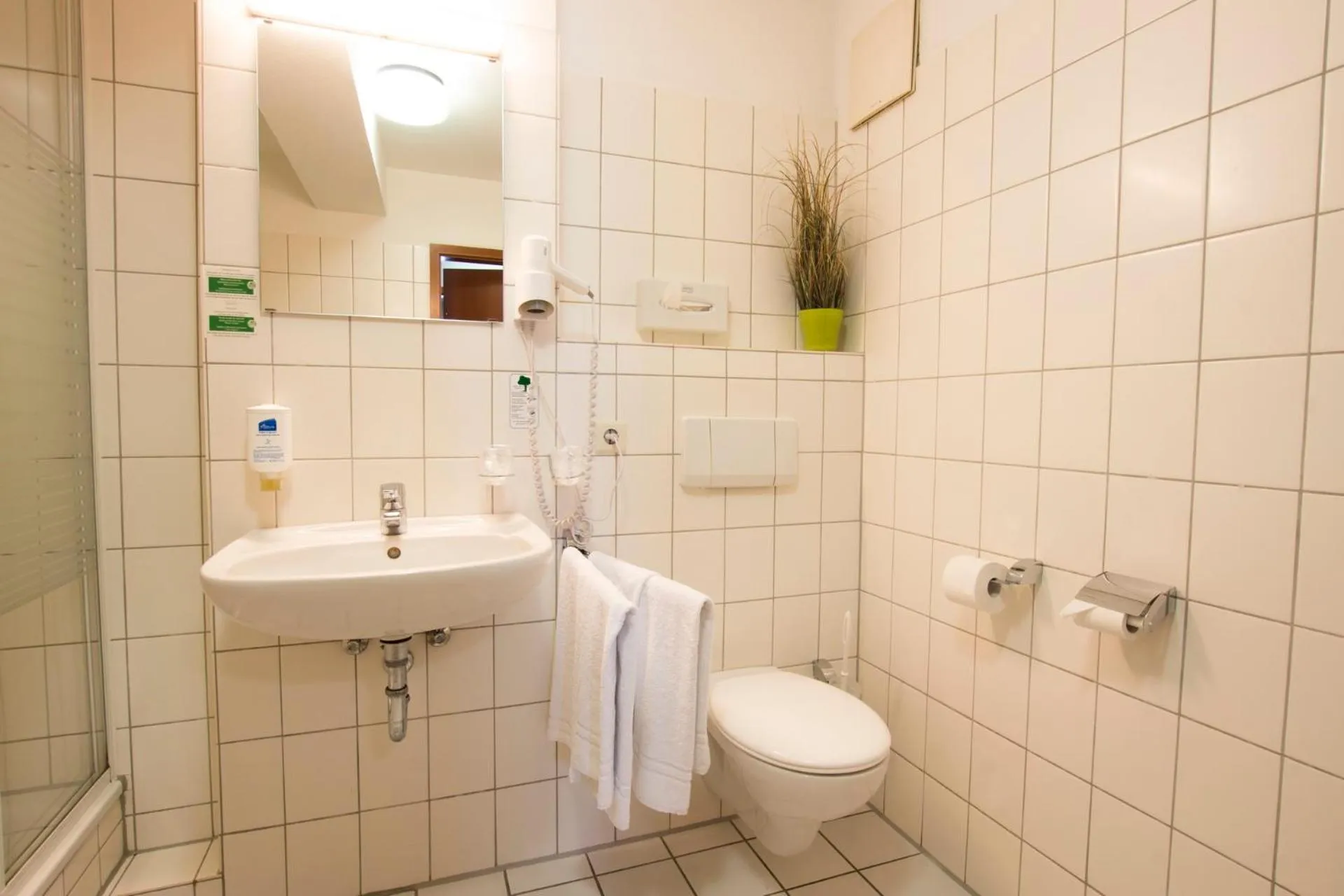 Toilet in Hotel Dampfmühle