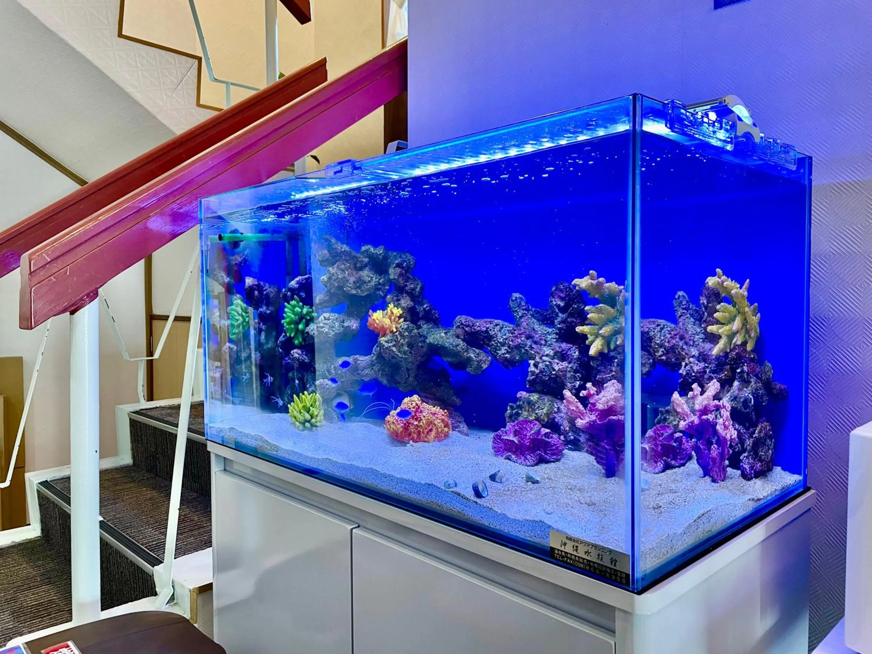 Area and facilities in Time Rich