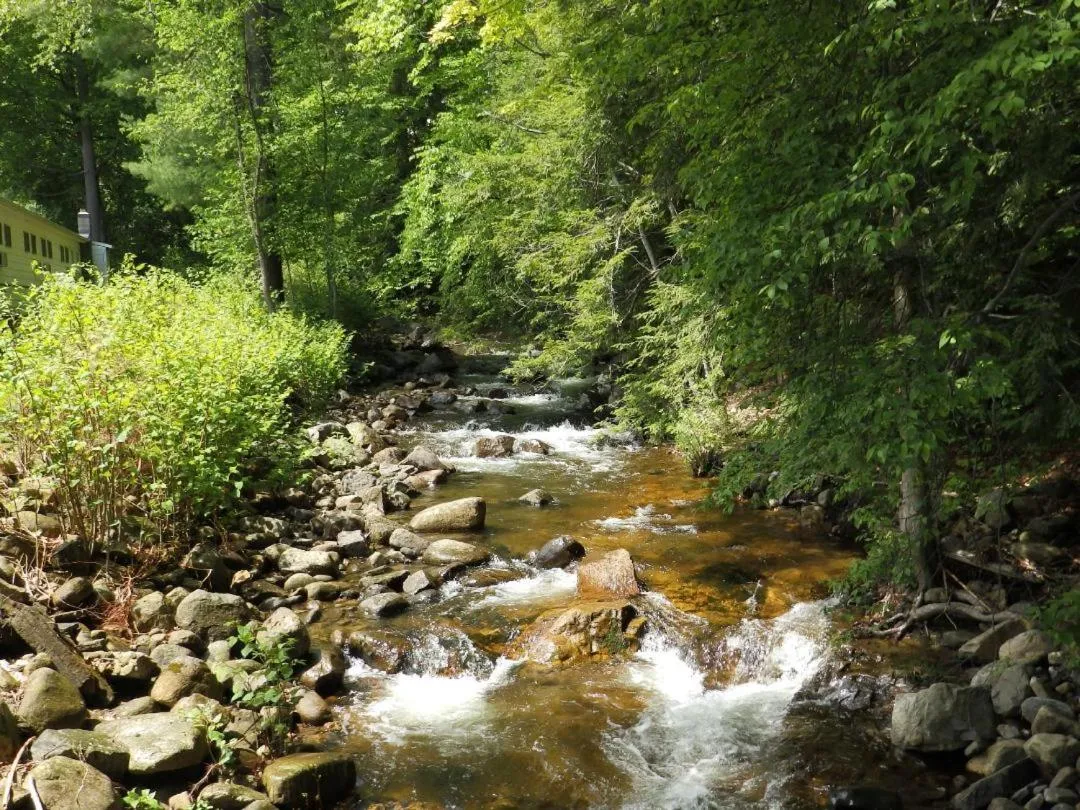 Brookside Motel & Cabins