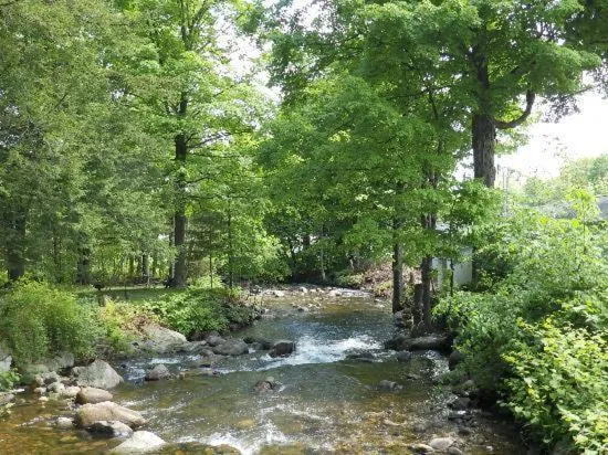 Brookside Motel & Cabins