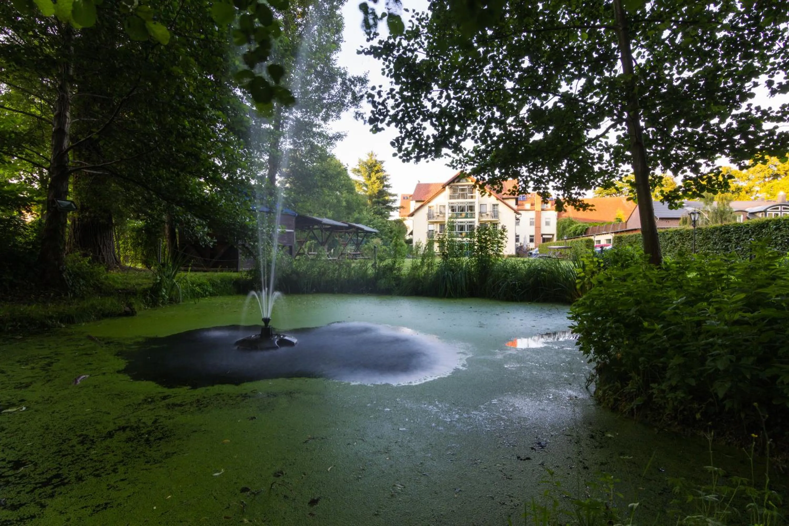 Off site in Hotel & Restaurant Am Alten Rhin