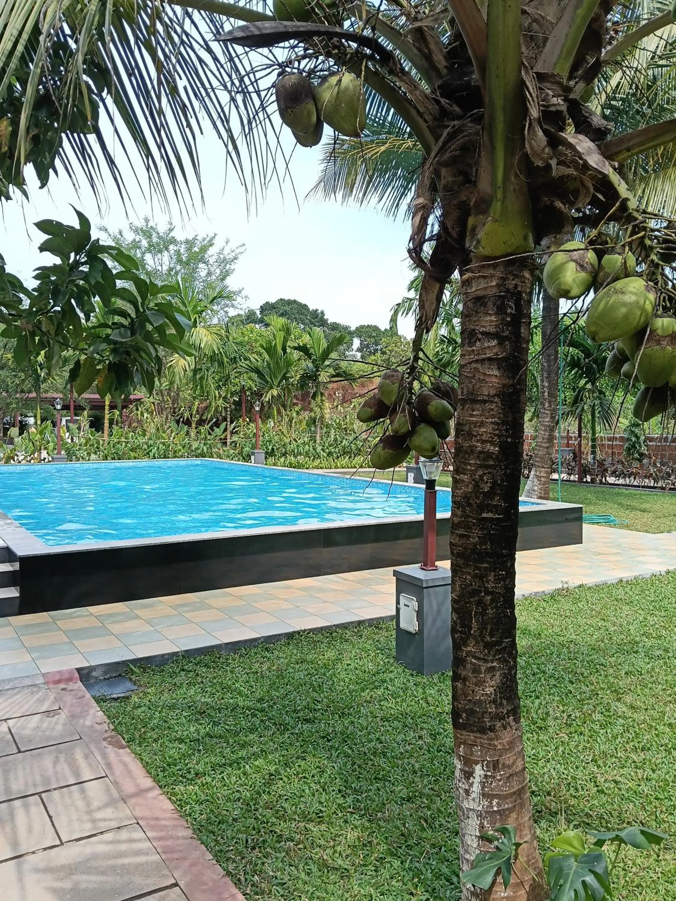 Swimming pool in Green Planet Resort