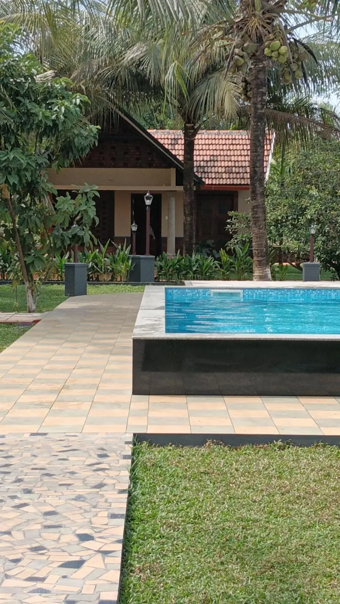 Swimming pool in Green Planet Resort Swimming pool in Green Planet Resort