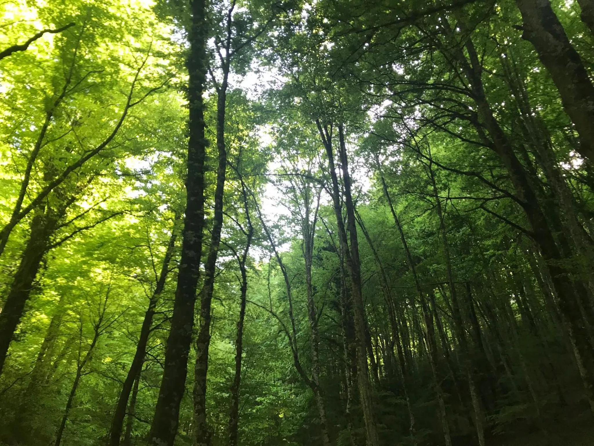 Natural landscape in Al Dolmen